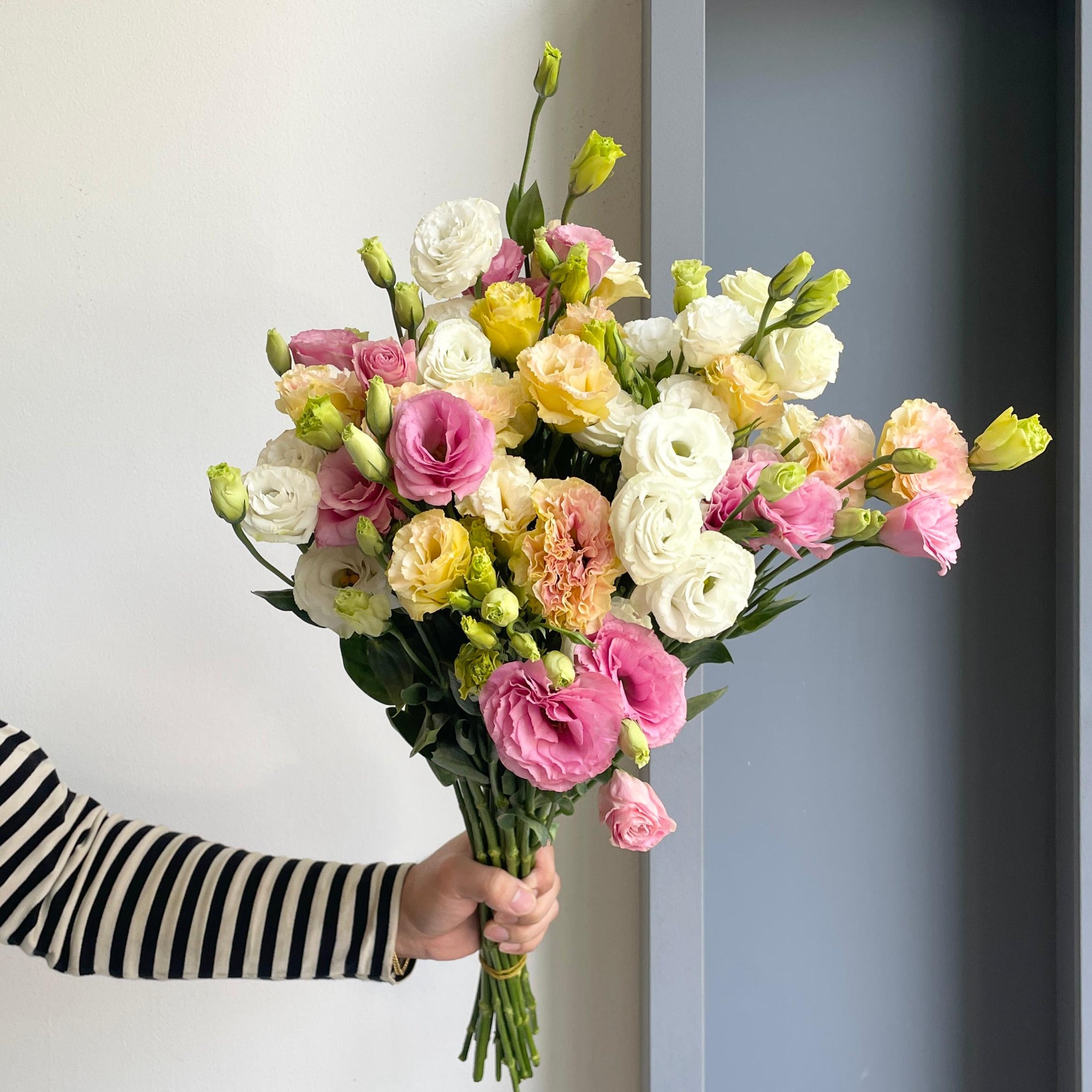 Lisianthus Double Mix - Majestic Flare