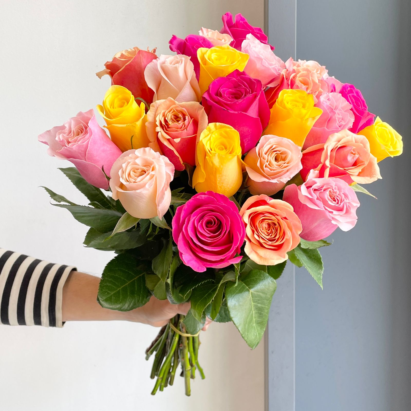 Roses Mix - Joyful Enchantment