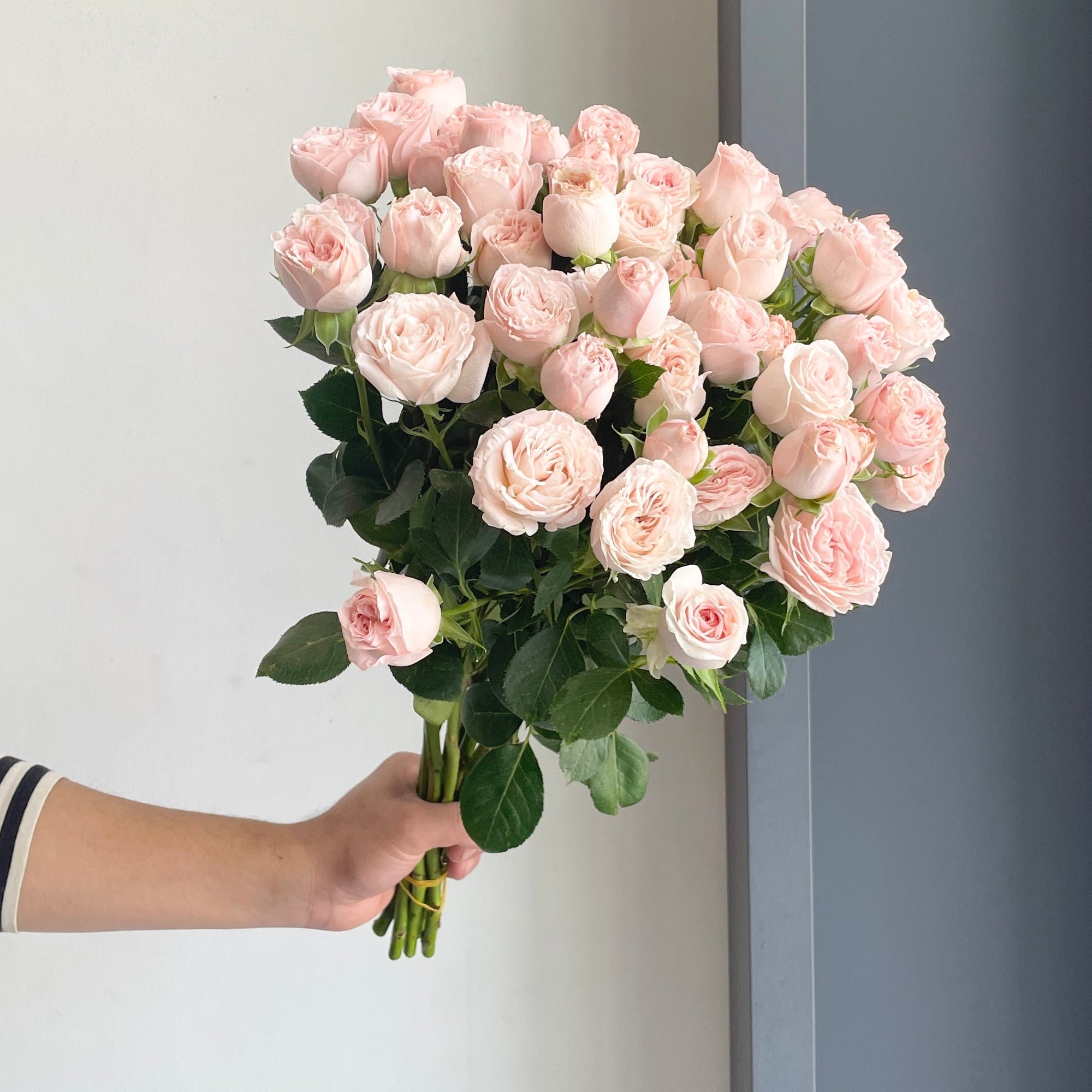 Spray Roses - Bombastic Light Pink