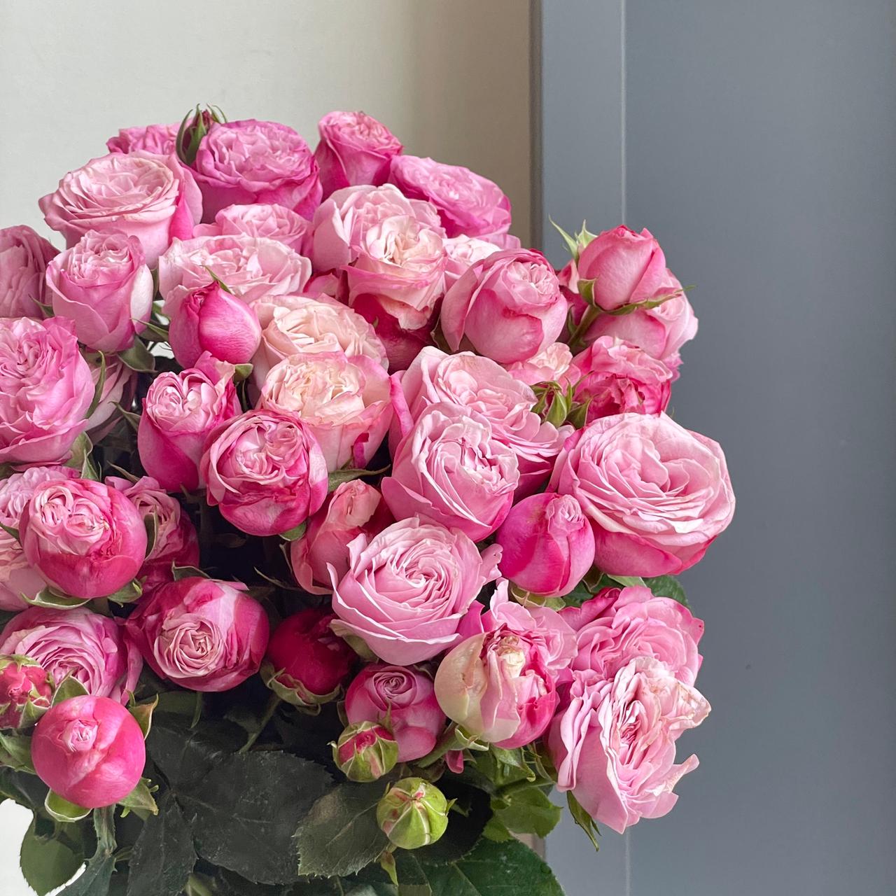 Spray Roses - Lady Bombastic