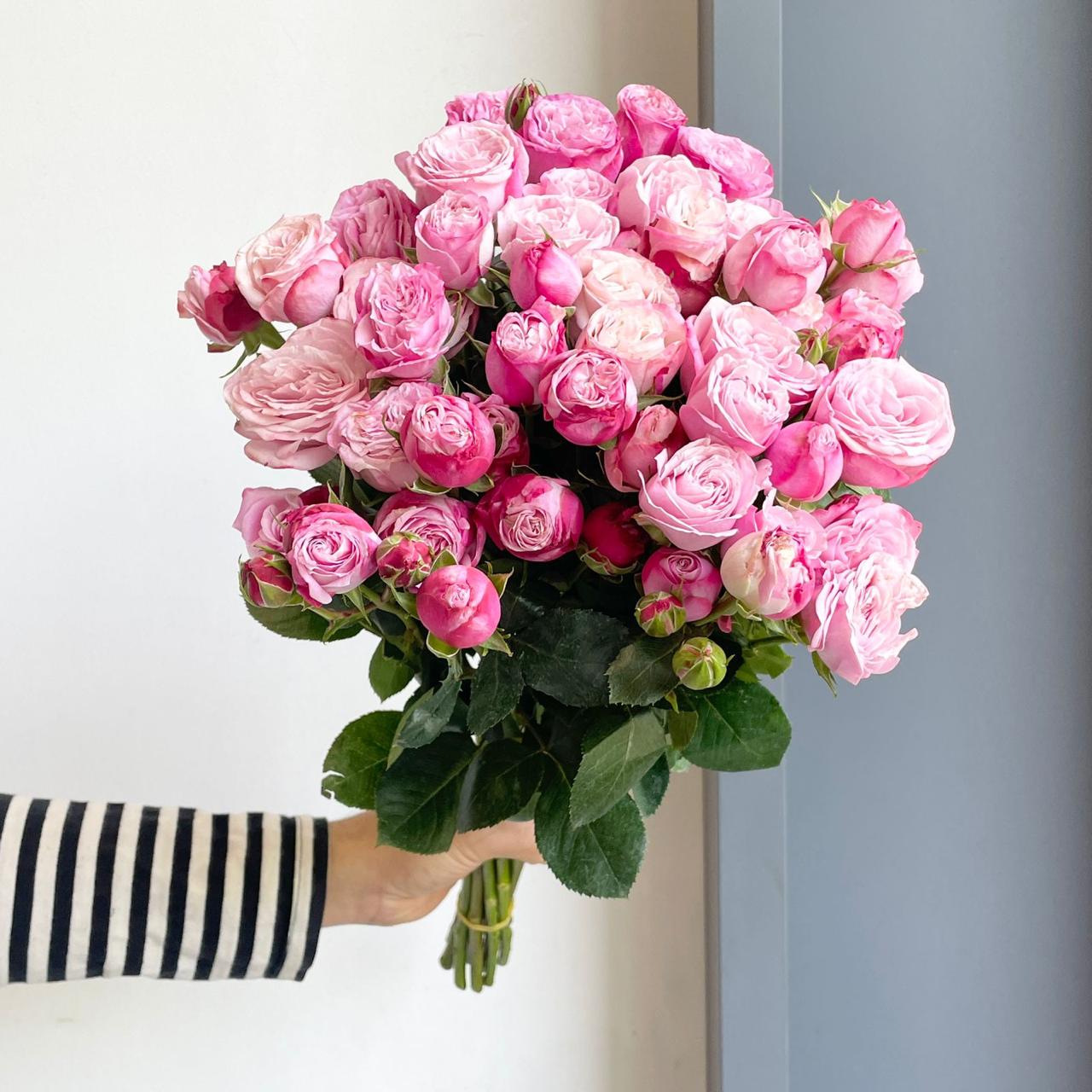 Spray Roses - Lady Bombastic