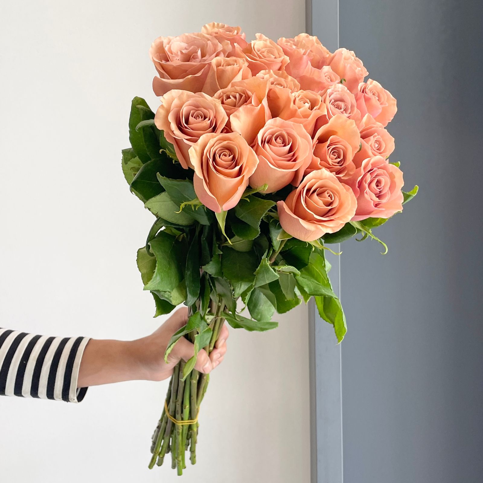 Roses - Moab Sandy Brown (70cm)