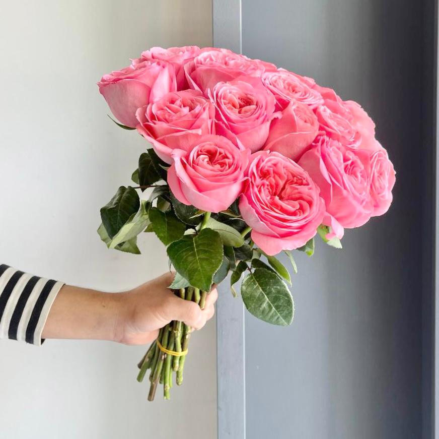 Roses - Pink Expression