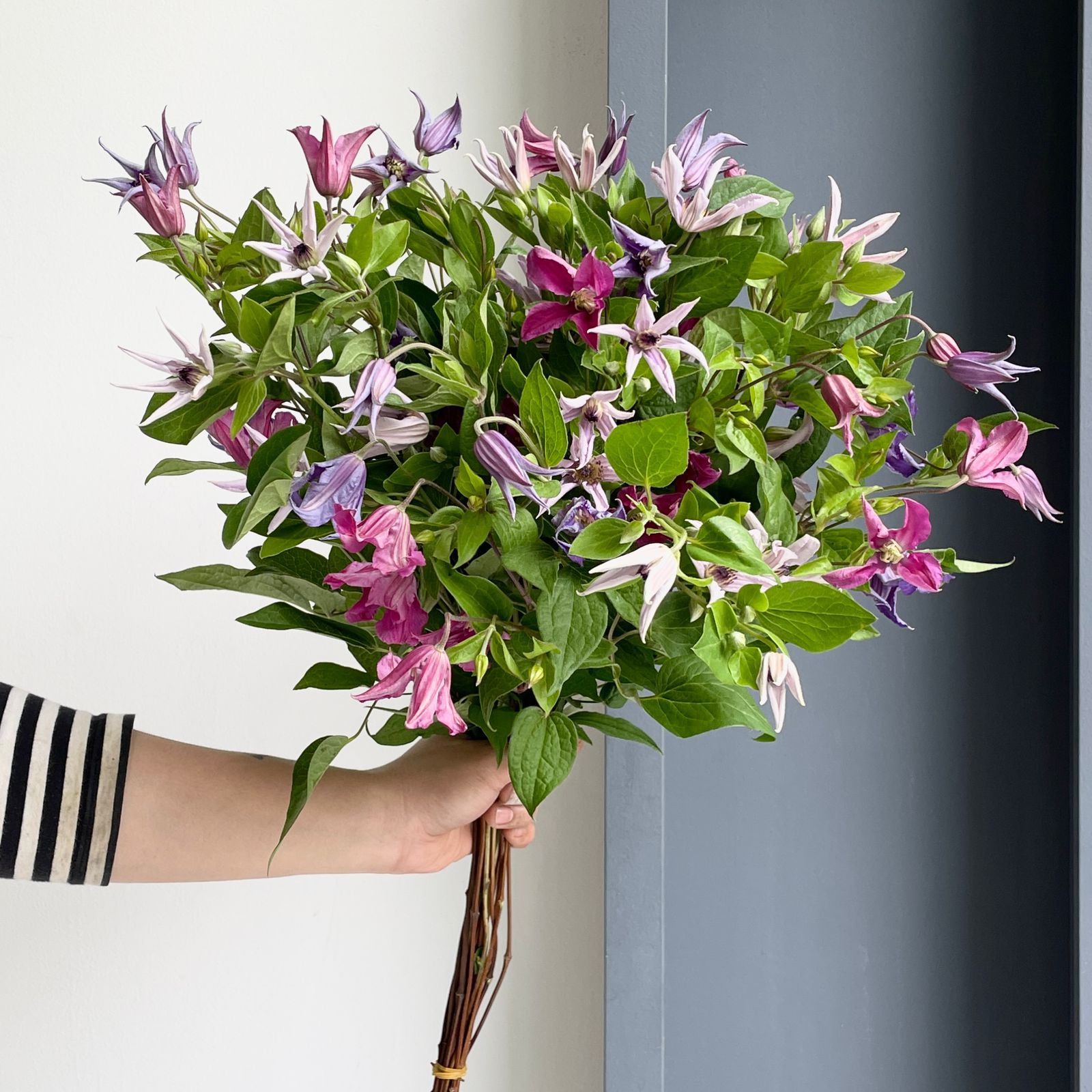Pretty petals hotsell