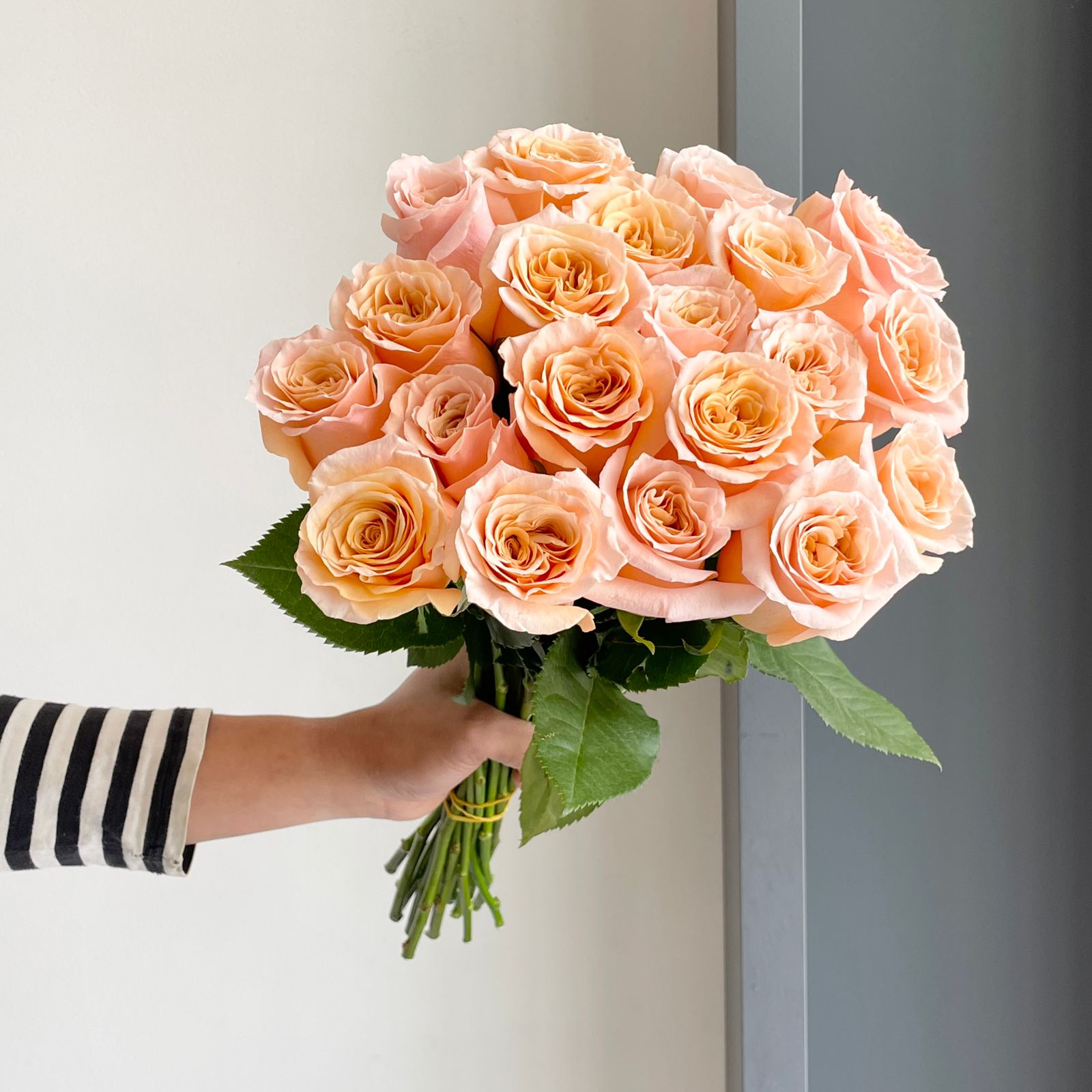 Roses - Shimmer Peach