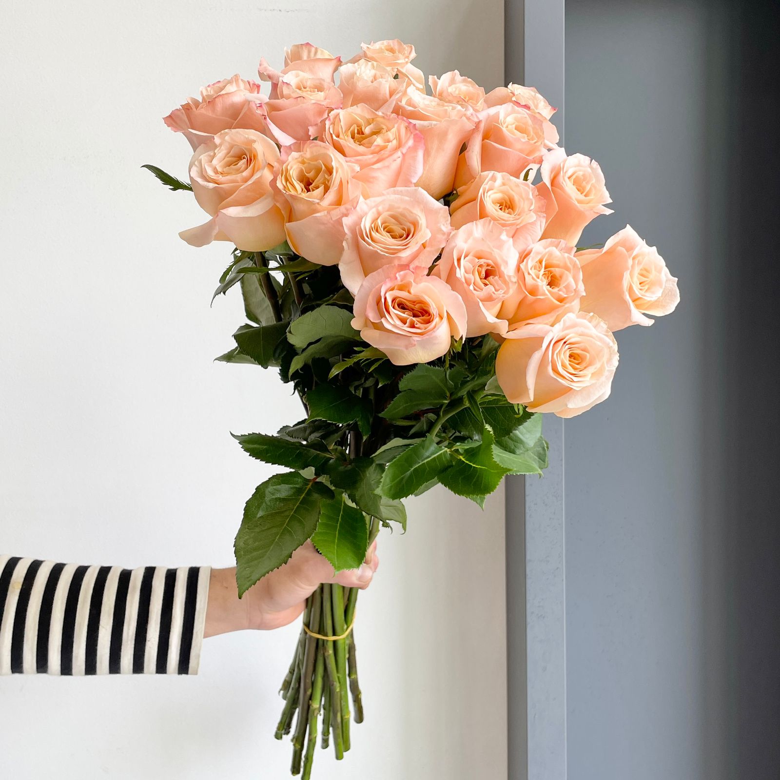 Roses - Shimmer Peach (Long Stem)
