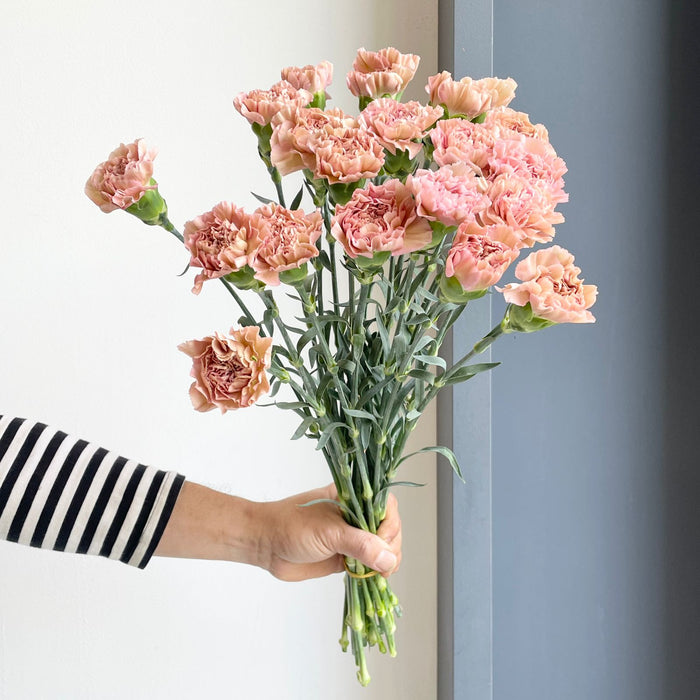 Flower florist outlet