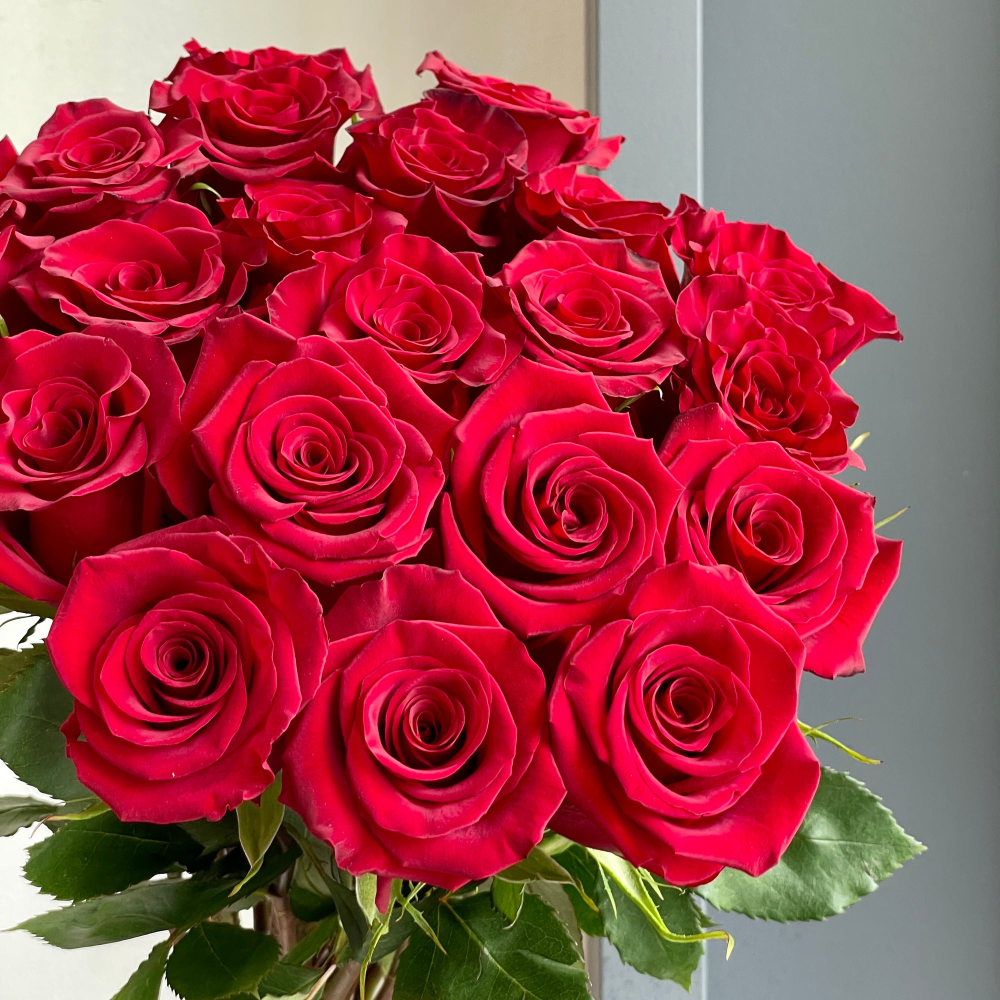 Roses - Red Paris (20 Stems)