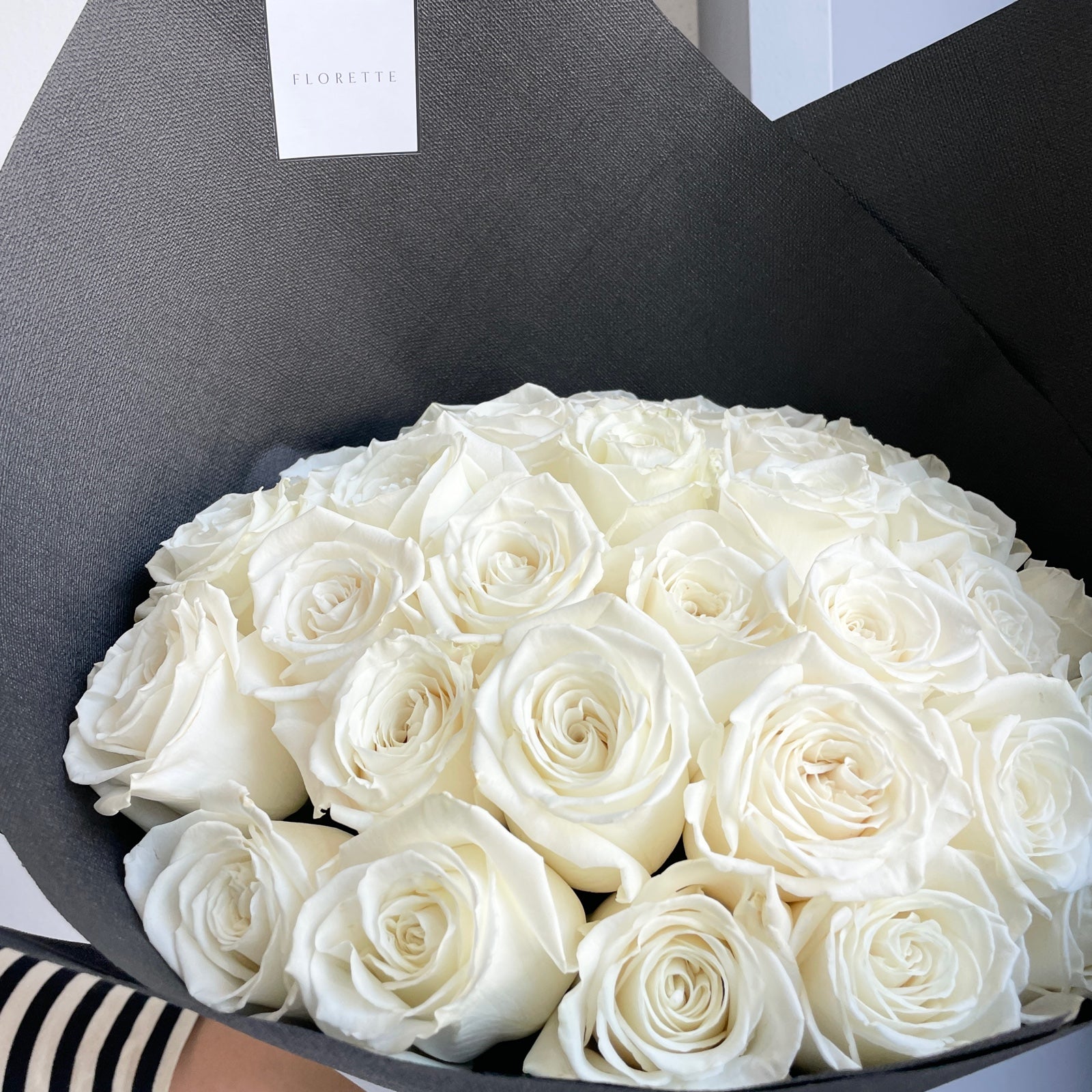 Roses - Beluga White