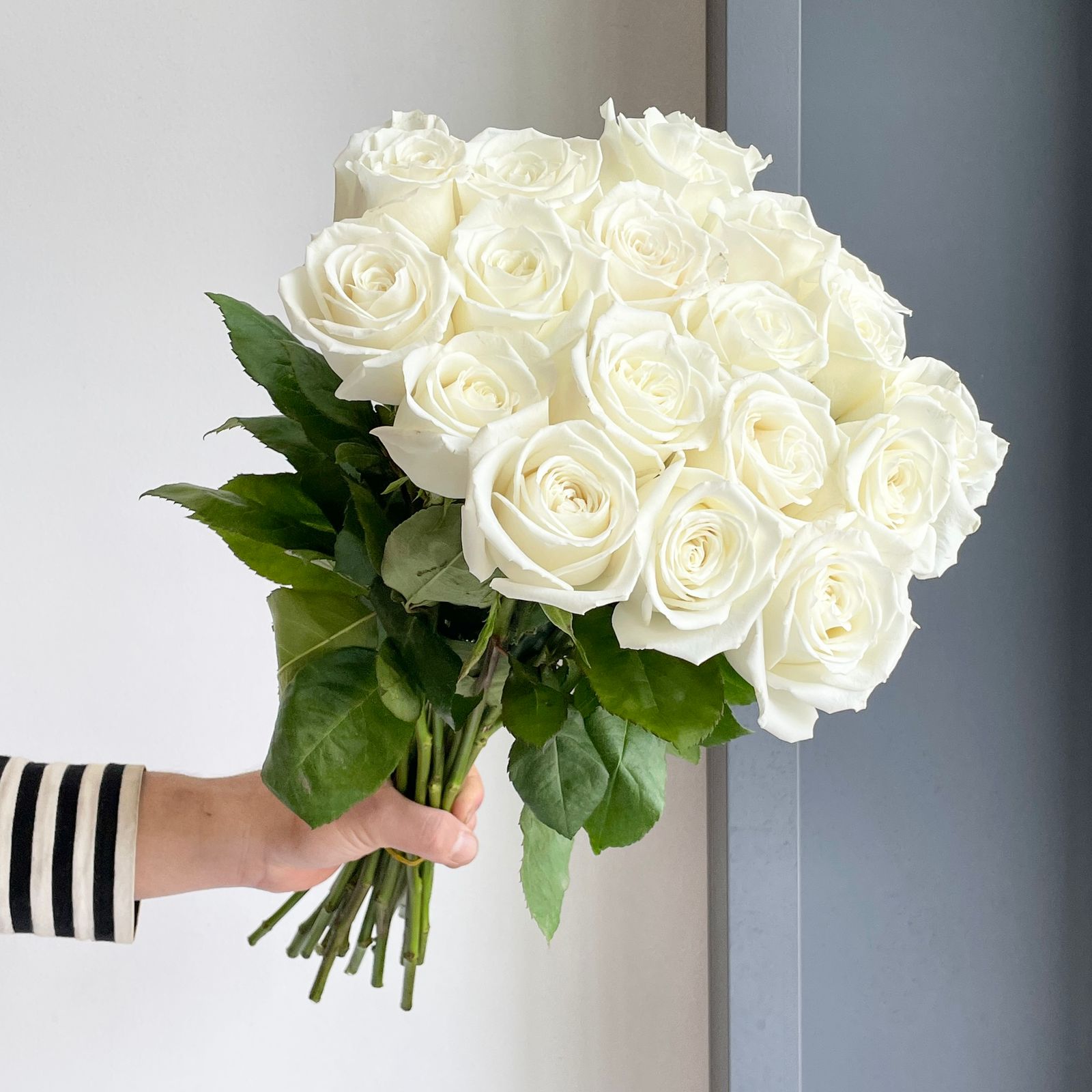 Roses - Beluga White (20 stems)