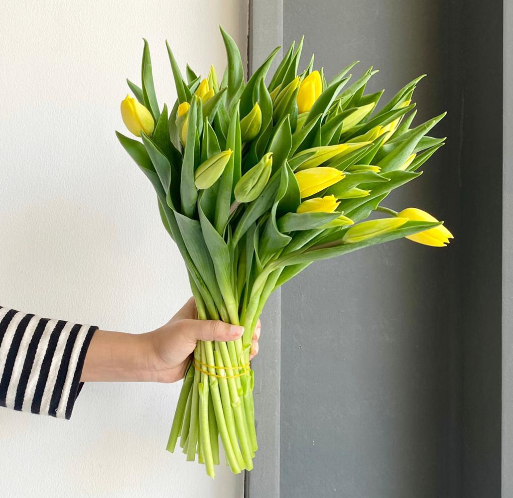 Tulips - Strong Gold Yellow