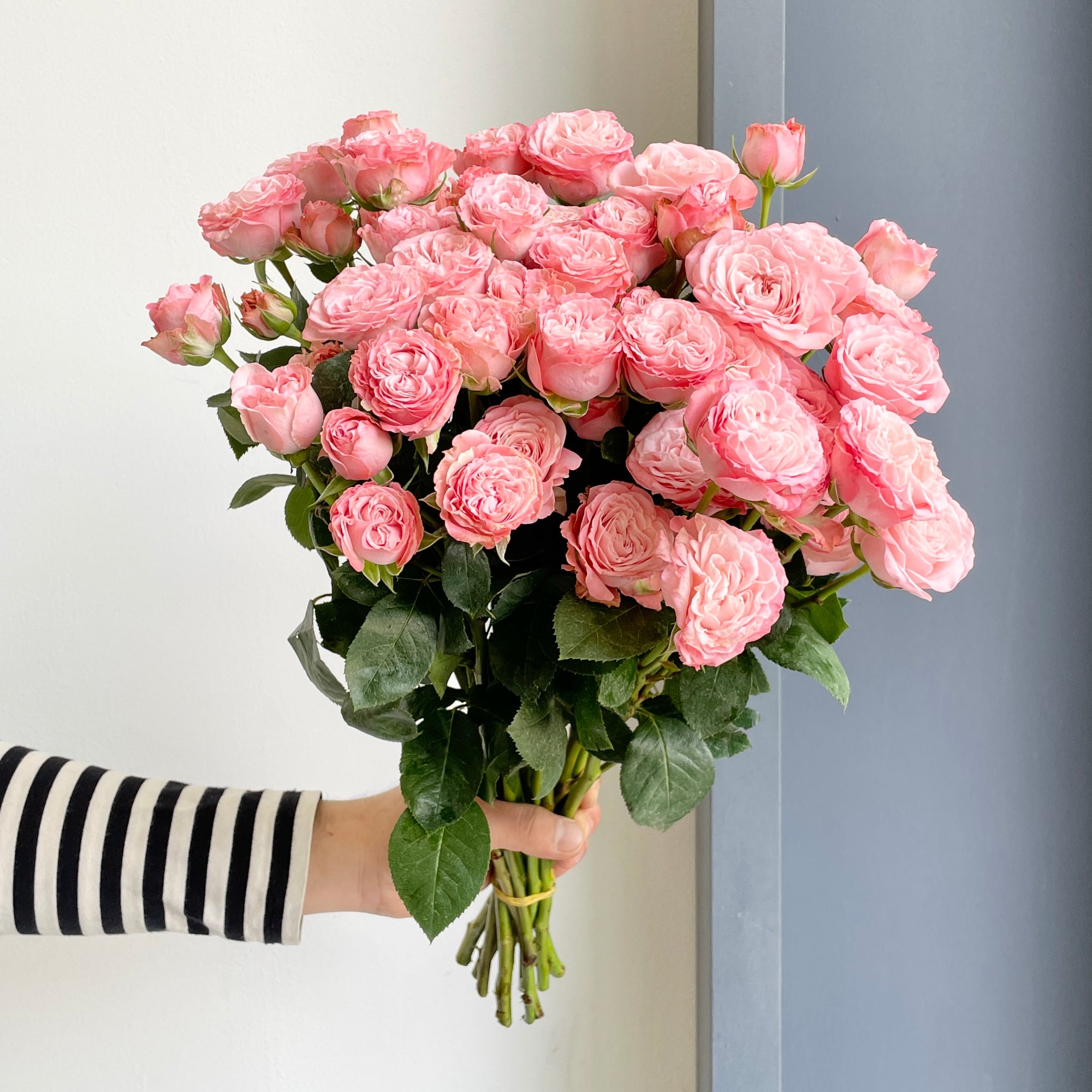 Flower_Market_Spray_Roses_Madam_Bombastic_Pink