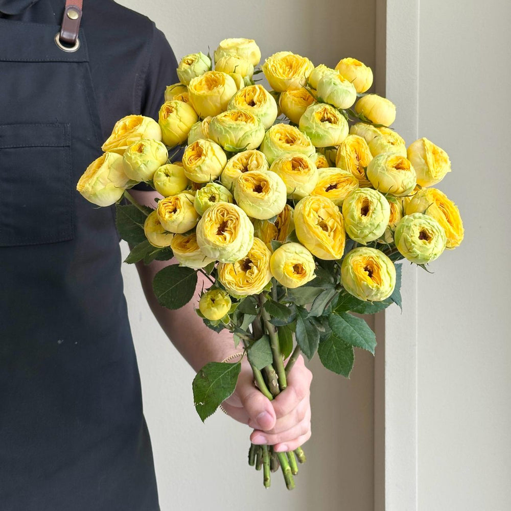 Spray Roses - Golden Trendsetter
