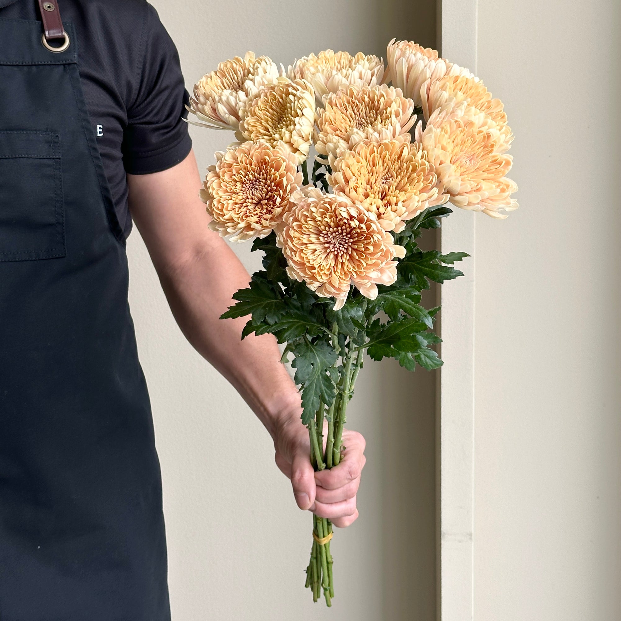 Chrysanthemums Deco - Linette Peach