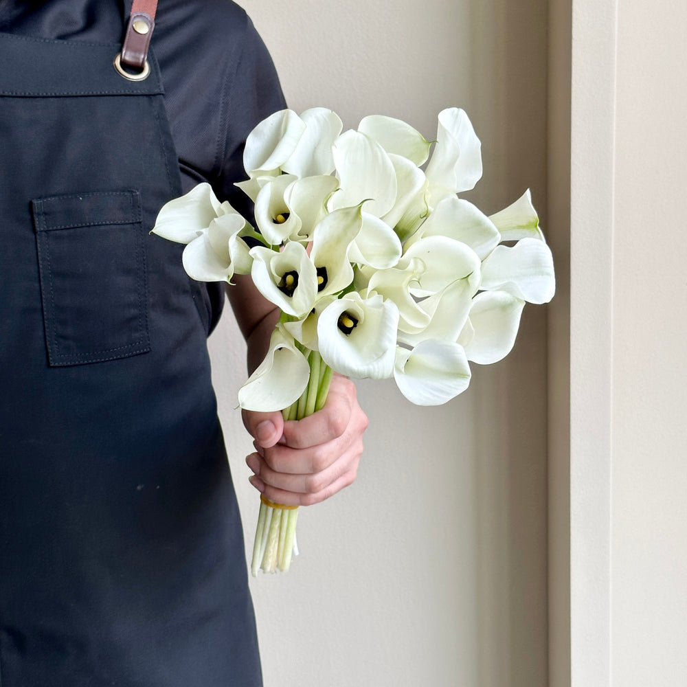 Calla Lilies - White (Mini)