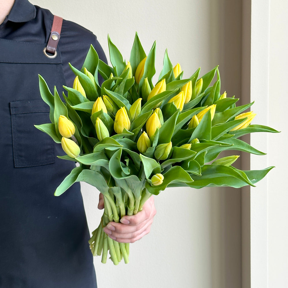 Tulips - Strong Gold Yellow
