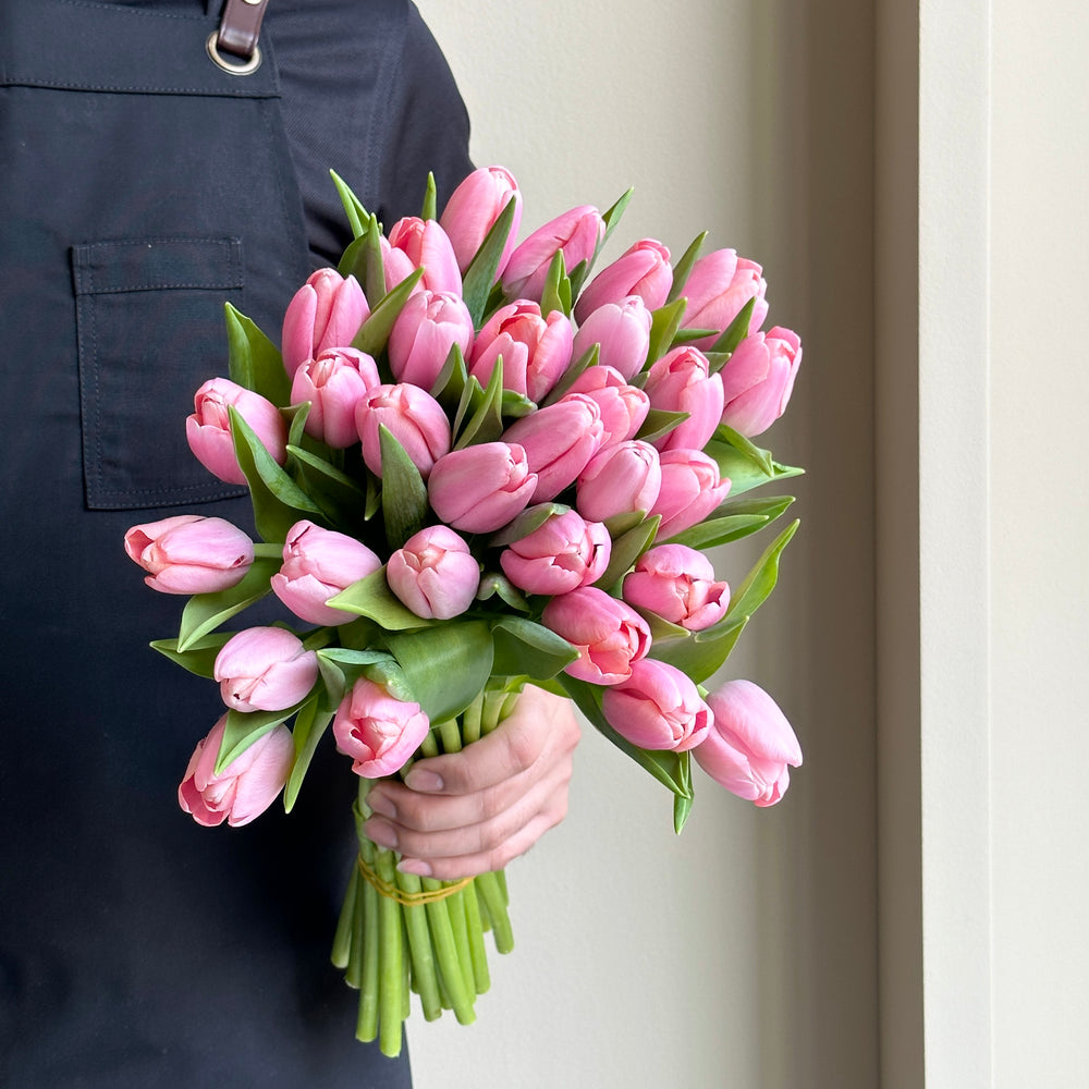 Tulips - Tresor Rose Pink