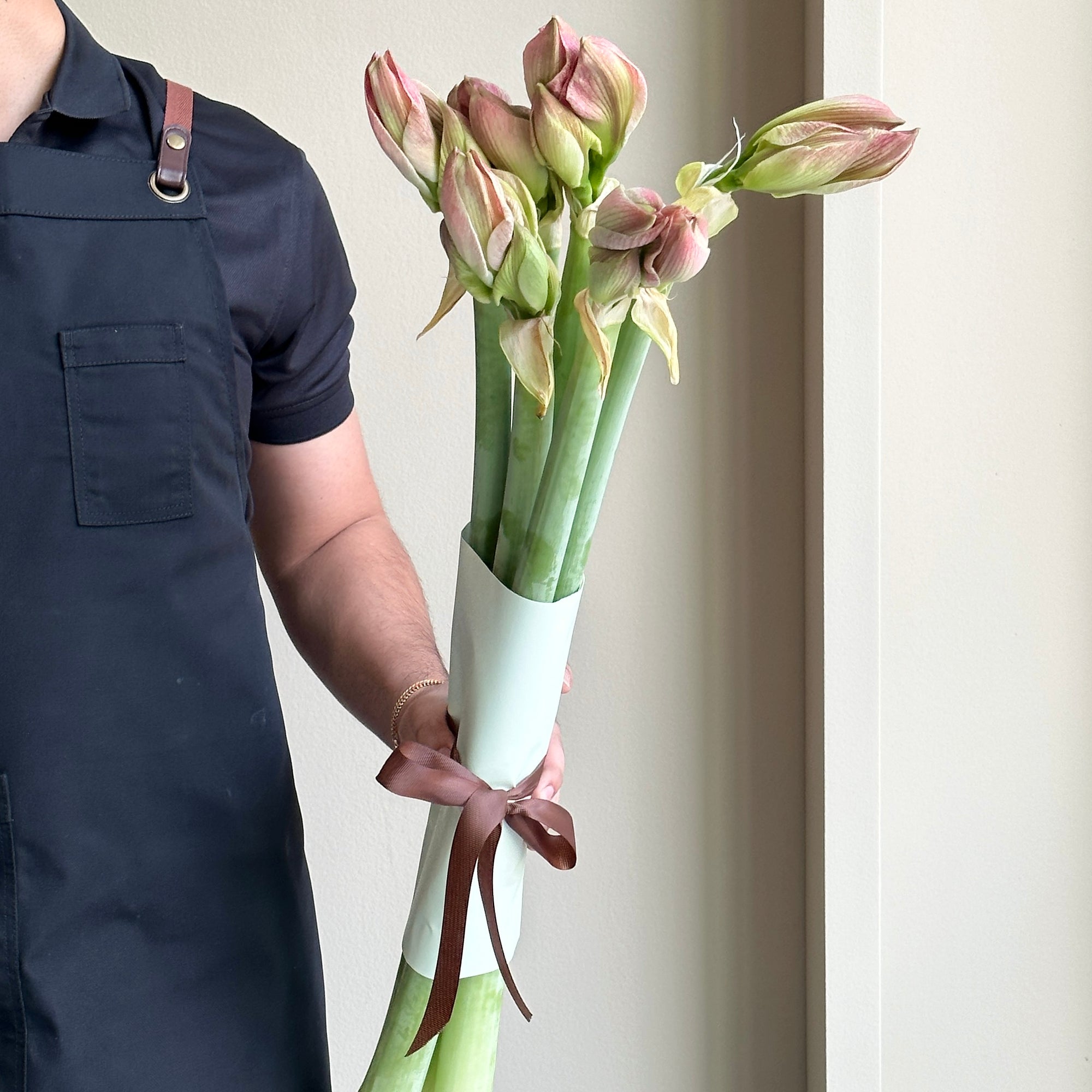Amaryllis - Sunrise (6 Stems)