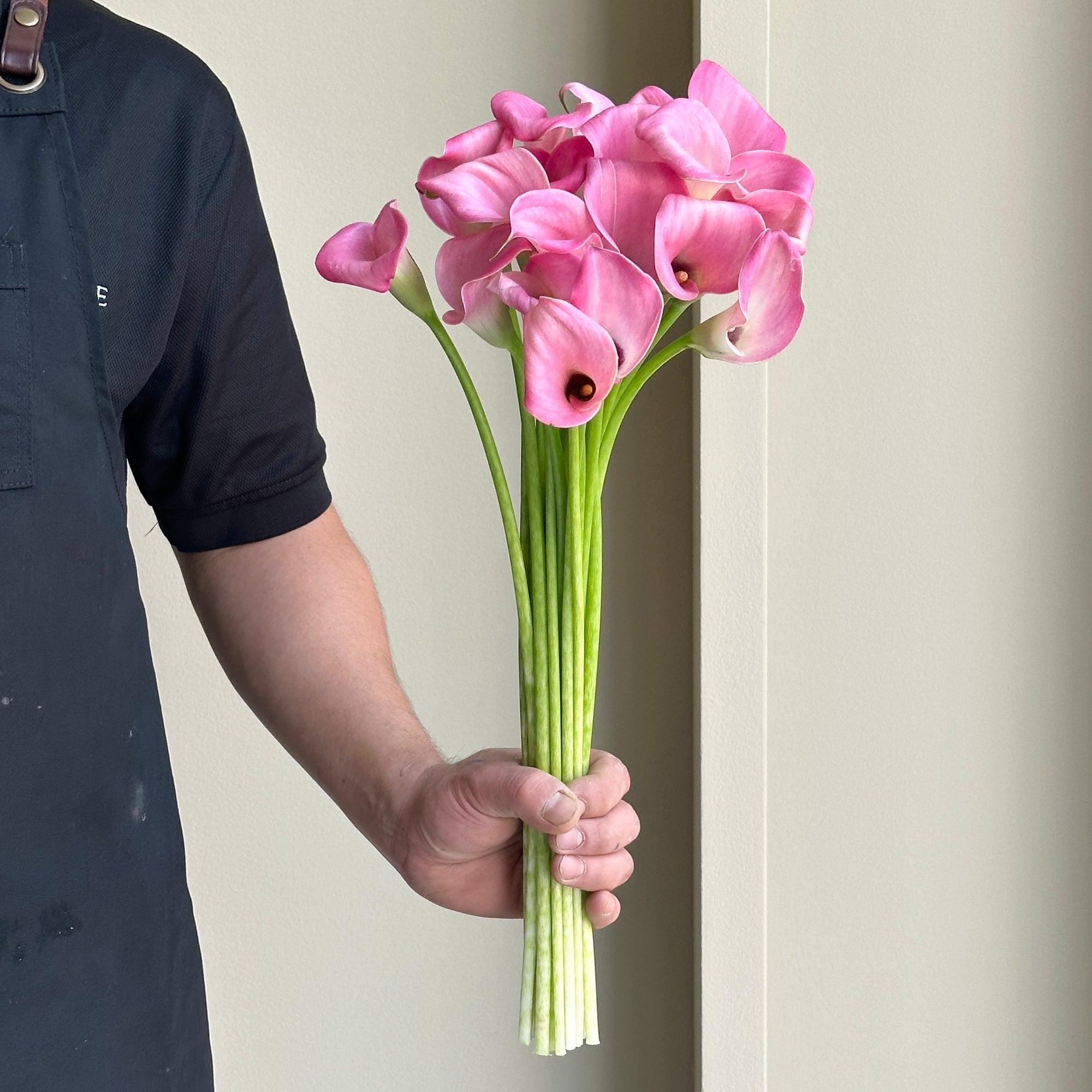Calla Lilies - Light Rose Pink