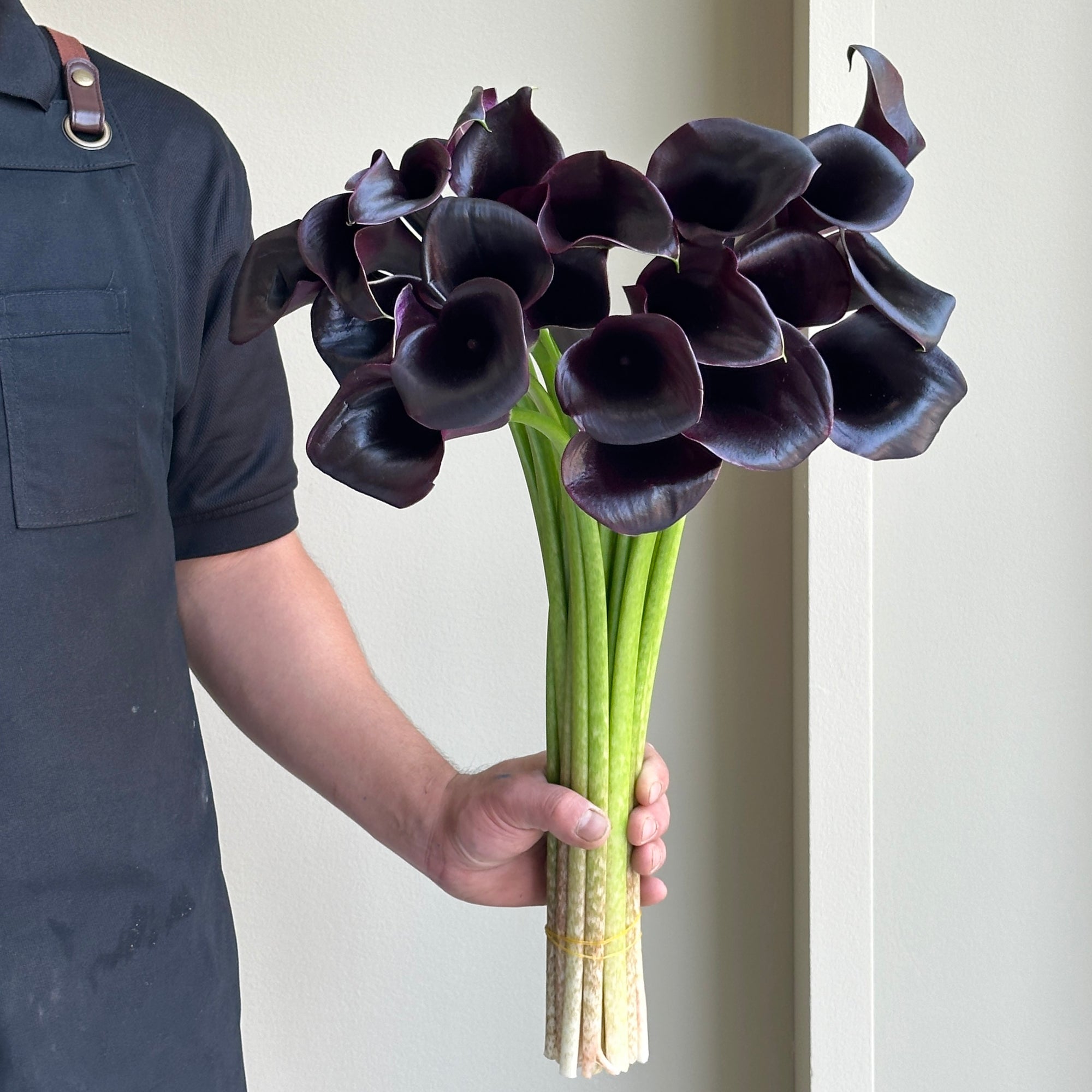 Calla Lily - Odessa Black