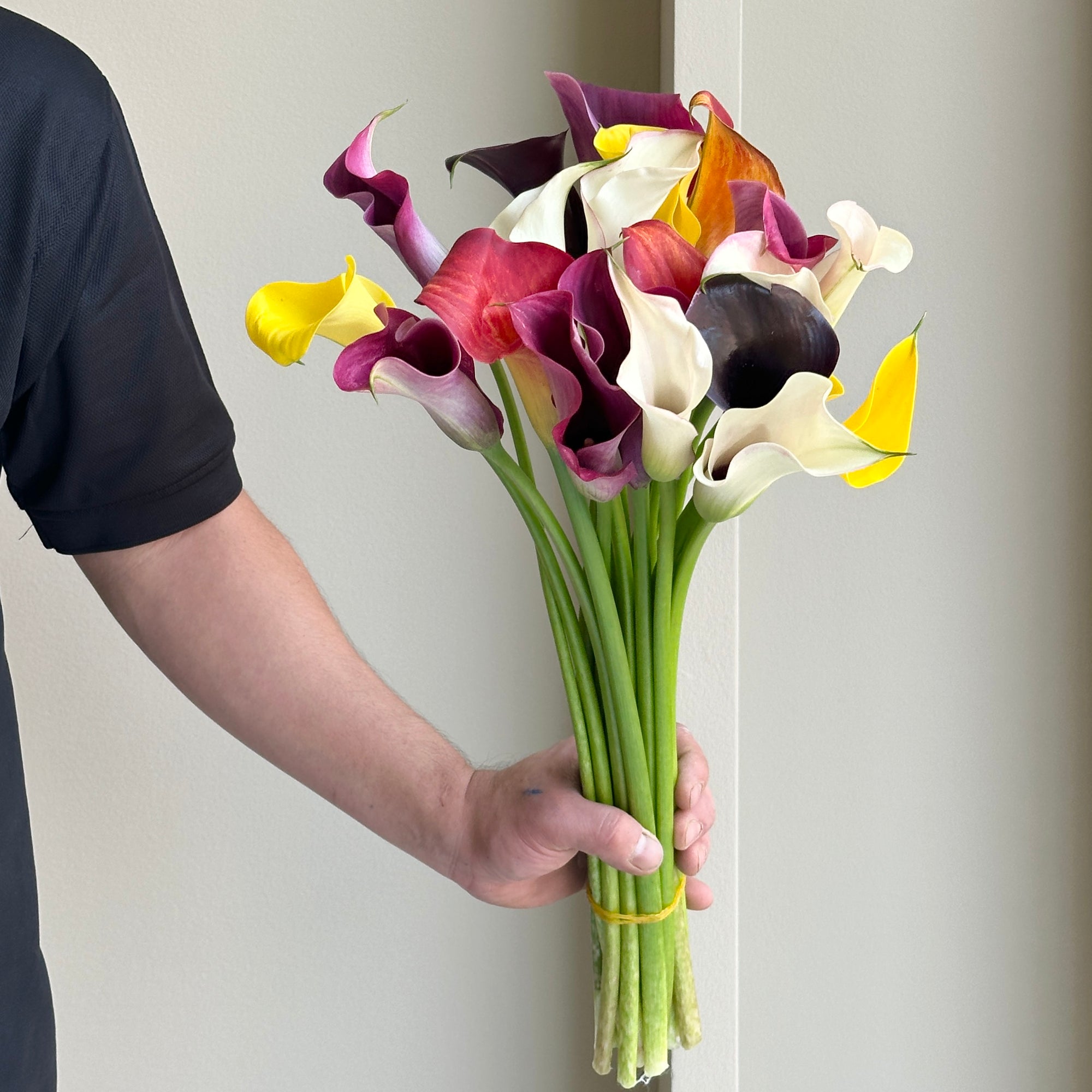 Calla Lilies - Twilight Mix