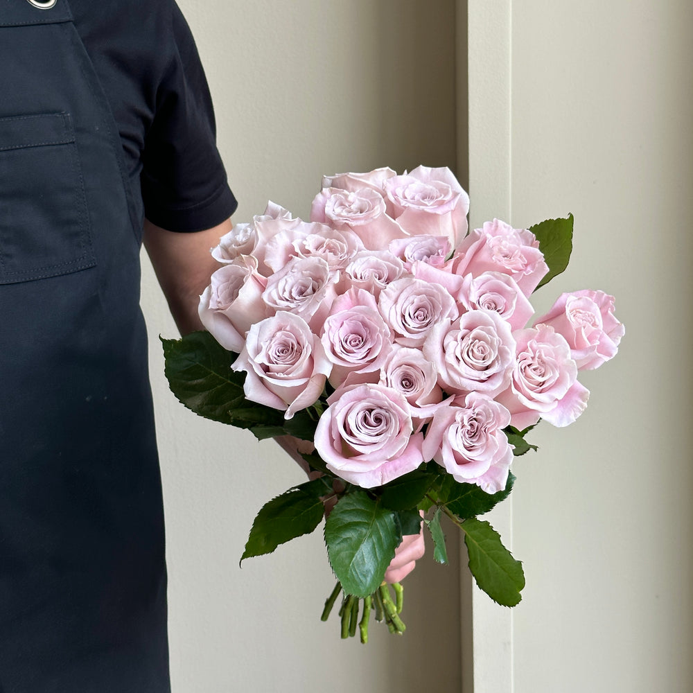 Roses - Hope Soft Pink