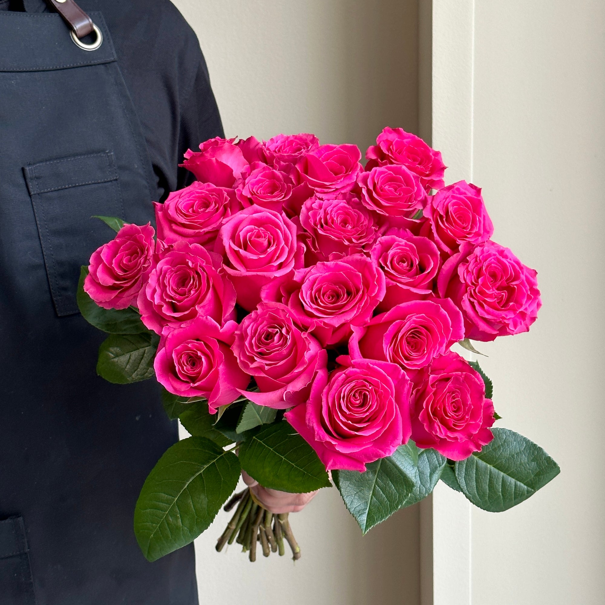 Roses - Full Monty Hot Pink