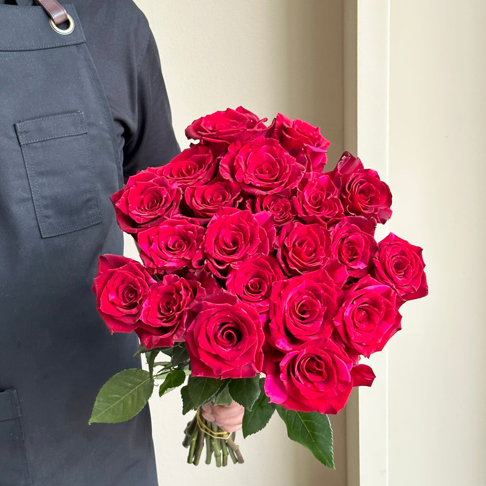 Roses - Red and Pink Panther