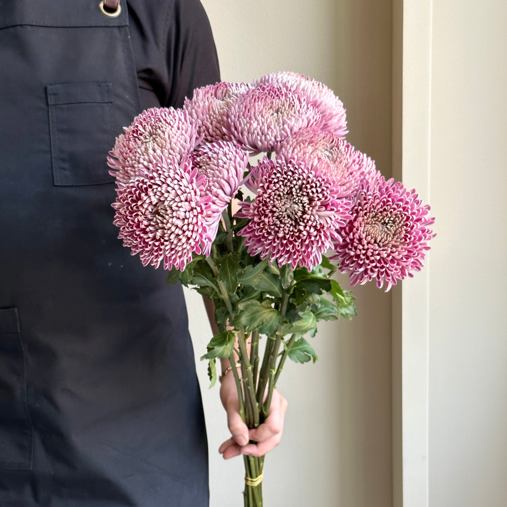 Chrysanthemums Couture