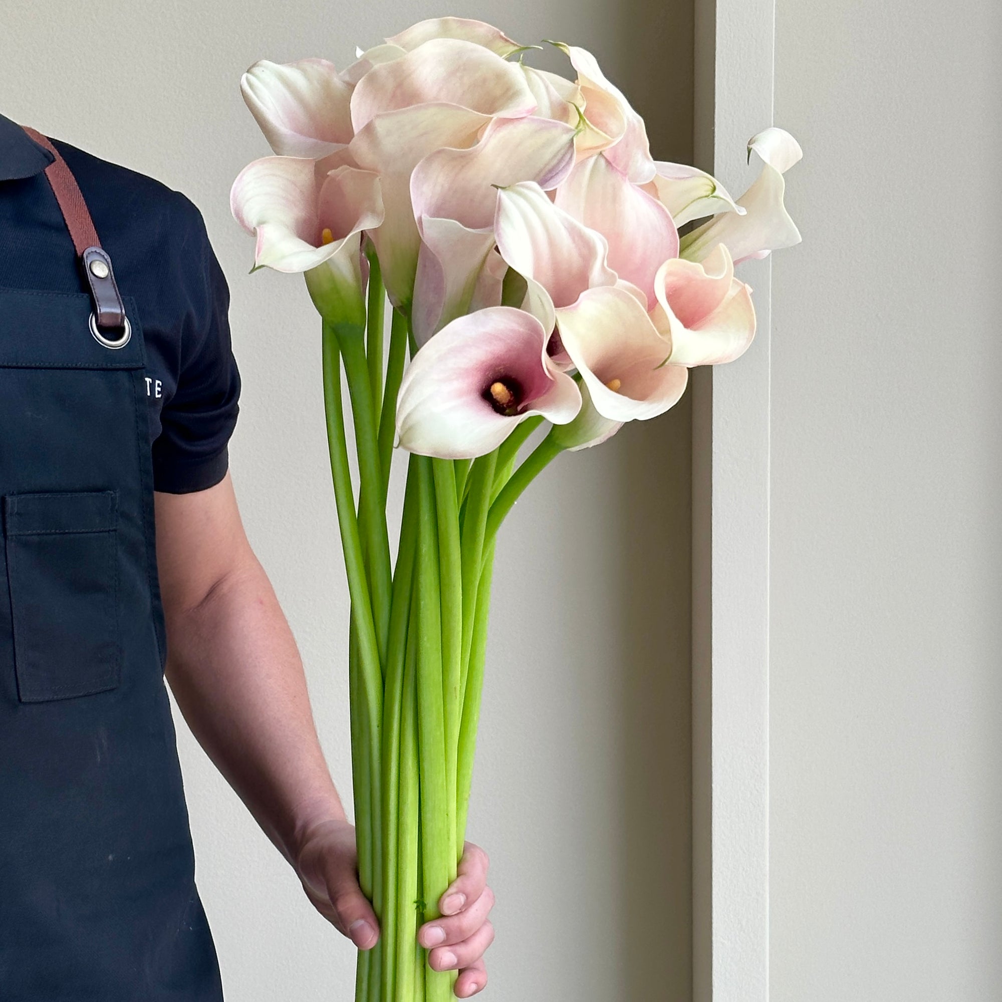 Calla Lilies - Captain Rosette Light Rose Pink