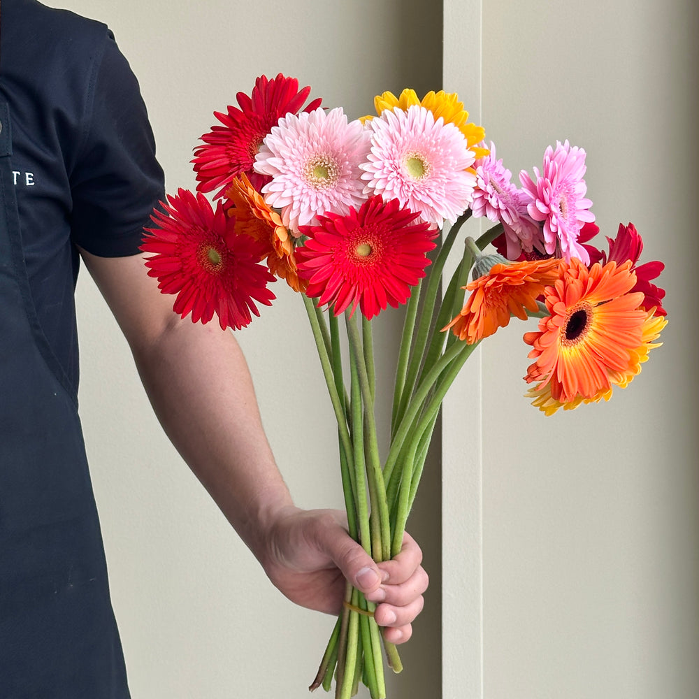 Gerbera Assorted - Joyful Mix (15 stems)