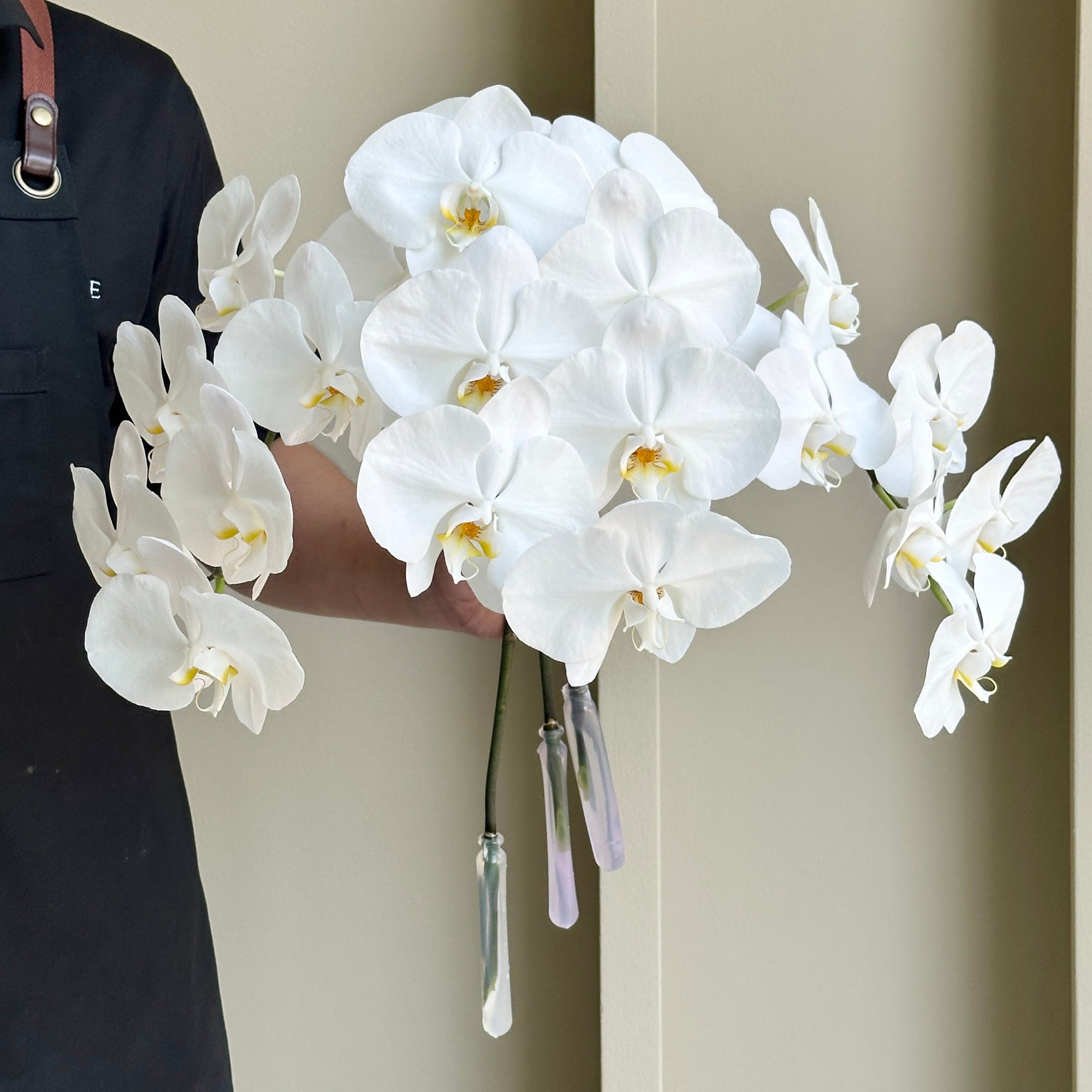 Phalaenopsis Orchid Cut Flower White