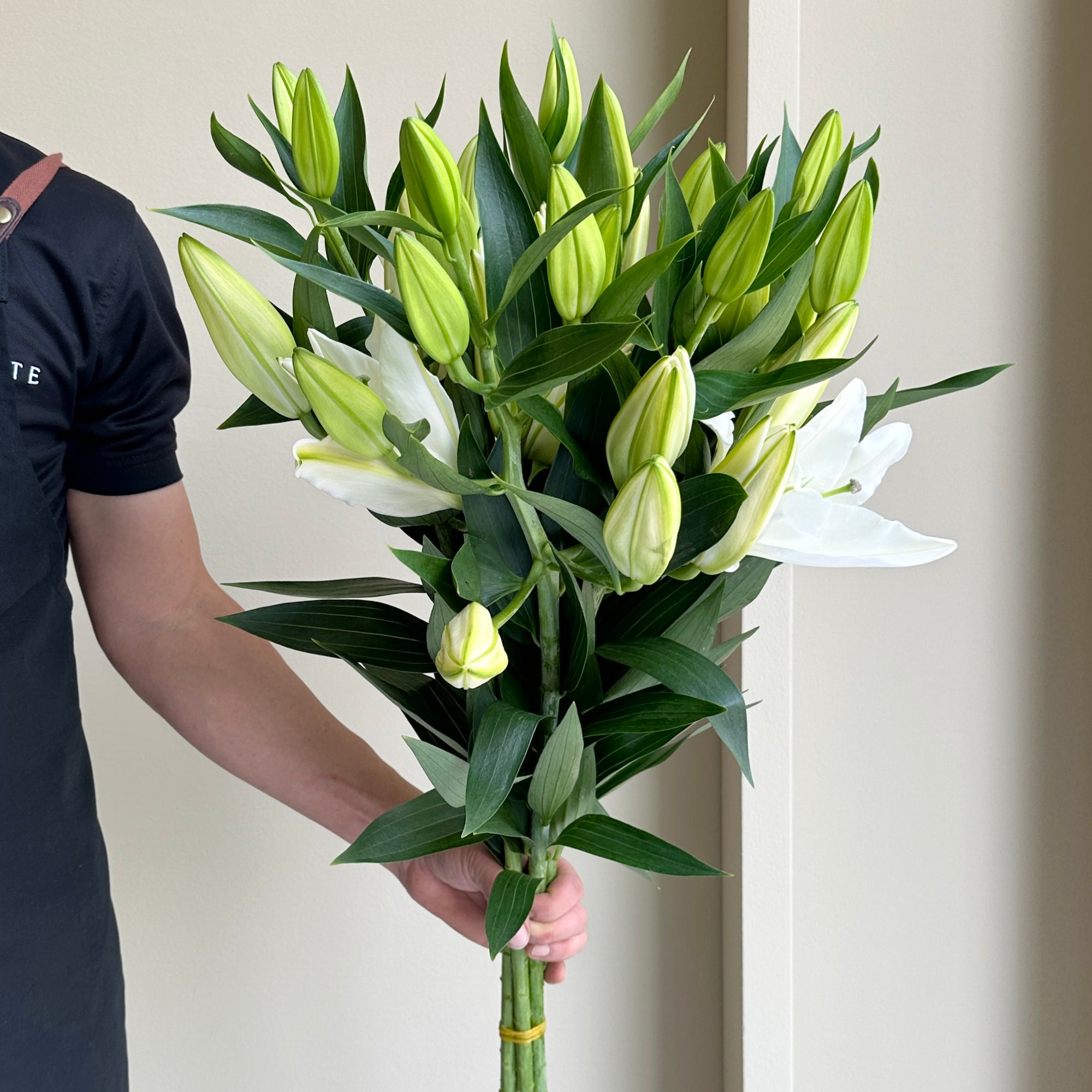 Lilies Oriental - White Passion
