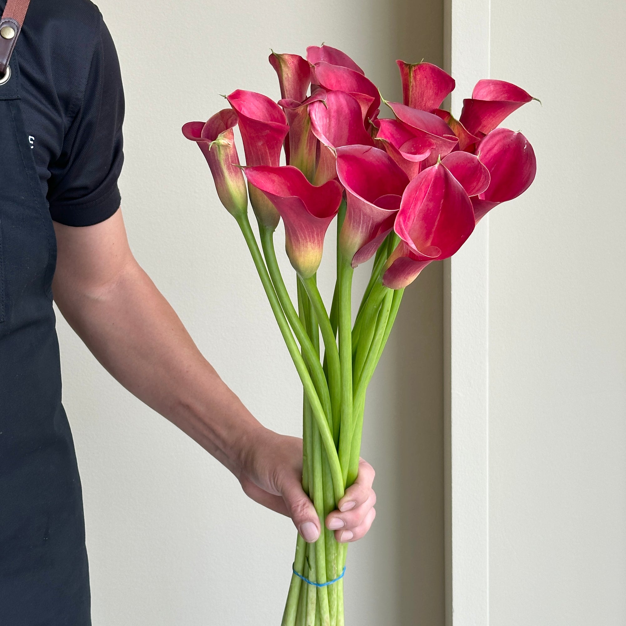 Calla Lilies - Ramona