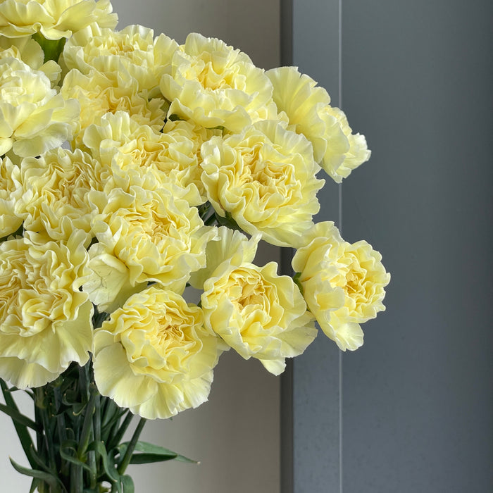 Flower Delivery Dubai, UAE 1 Online Flower Shop Florette