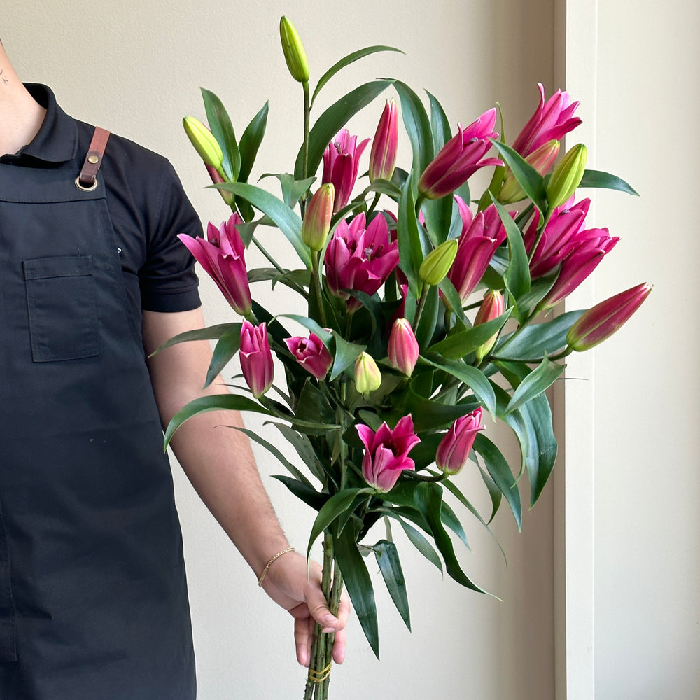 Lilies Oriental - Pure Passion