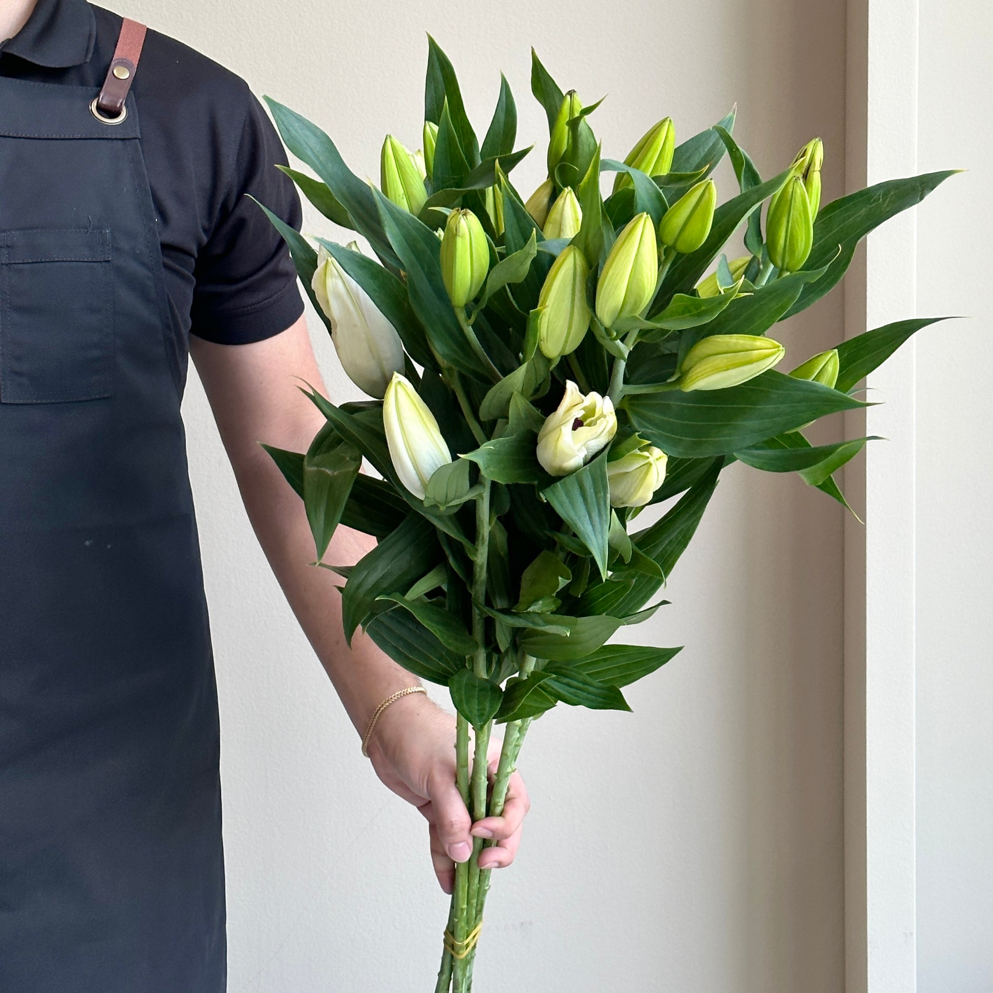 Lilies Oriental - Signum White