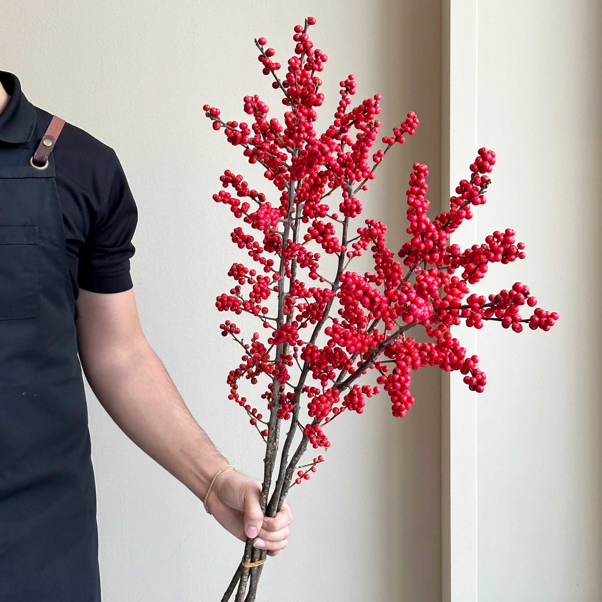 Ilex Verticillata - Red Winterberries Tall