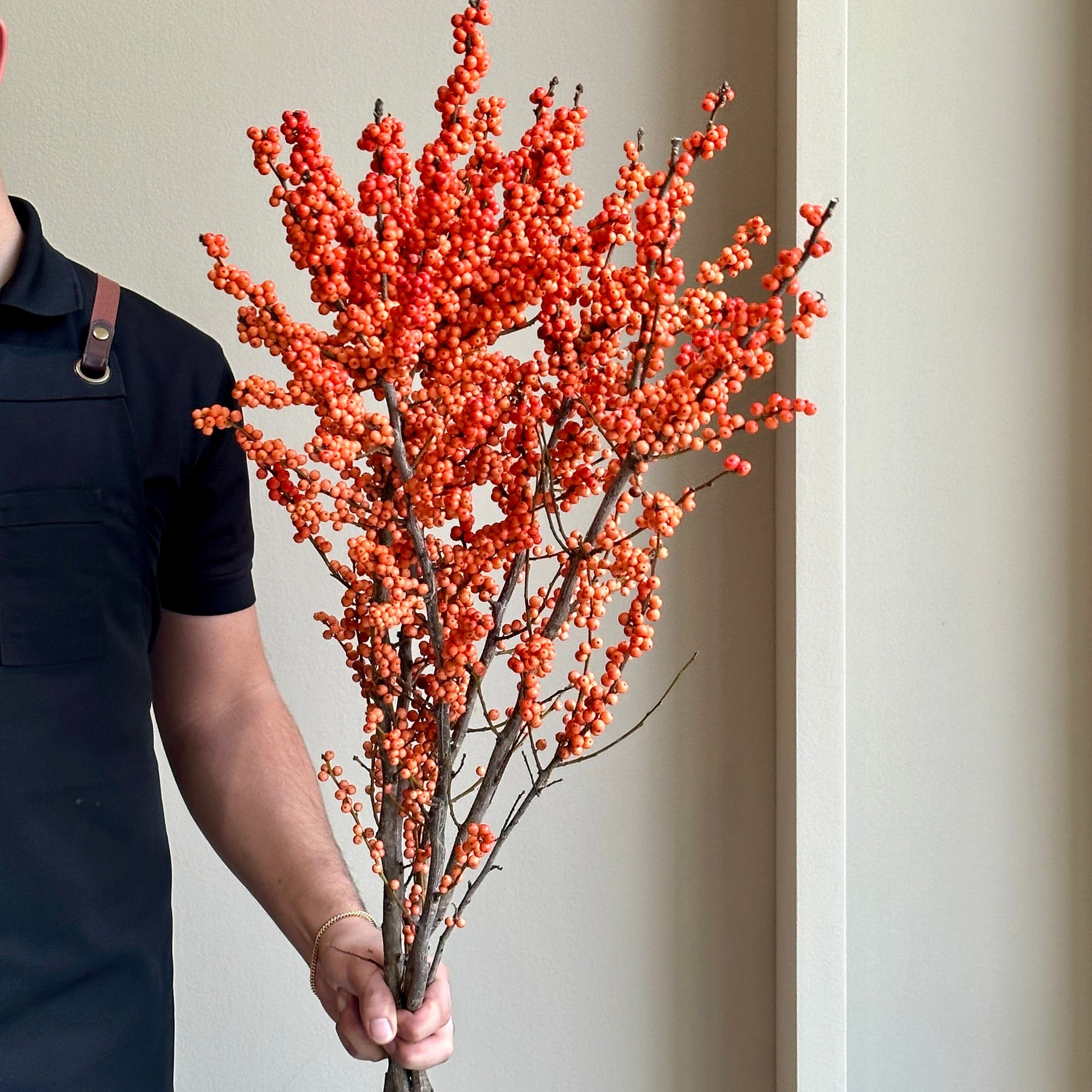 Ilex Verticillata - Winter Gold Tall