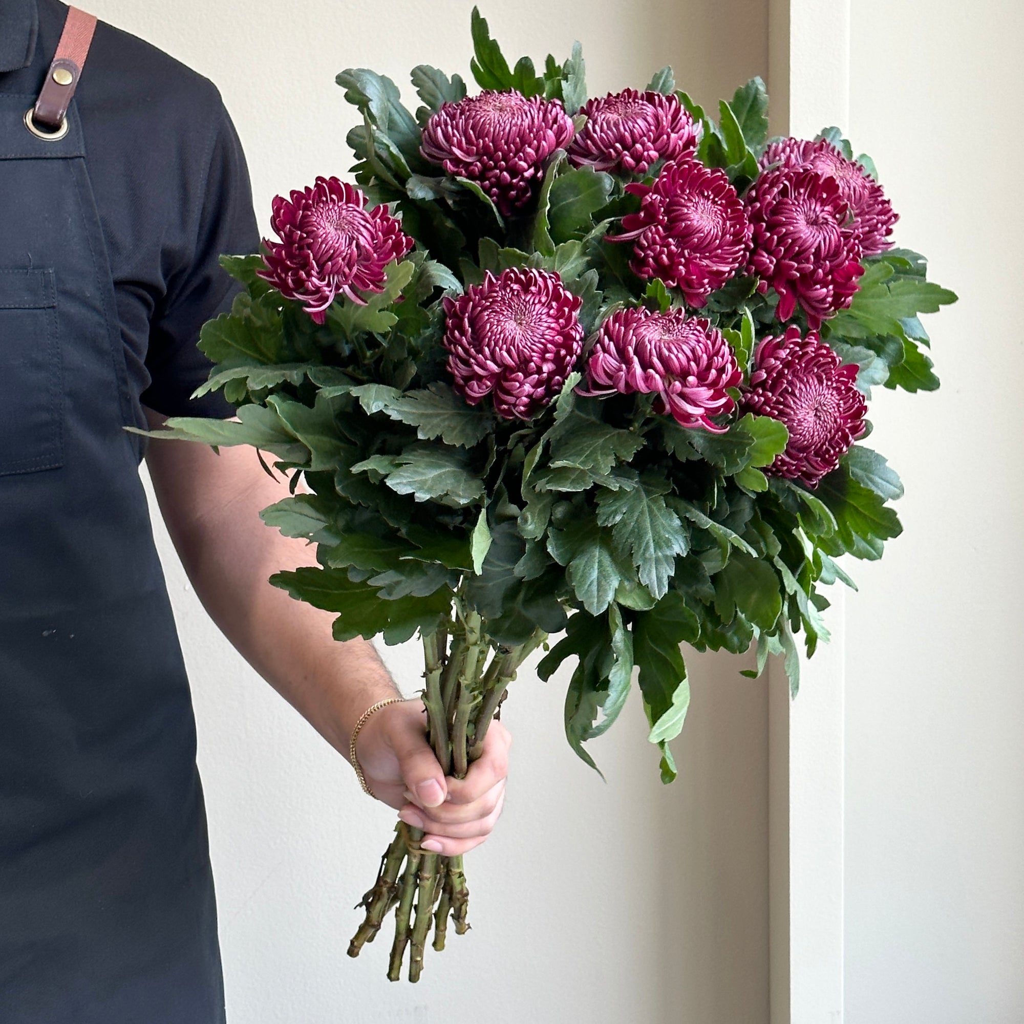 Chrysanthemums - Bigoudi Purple