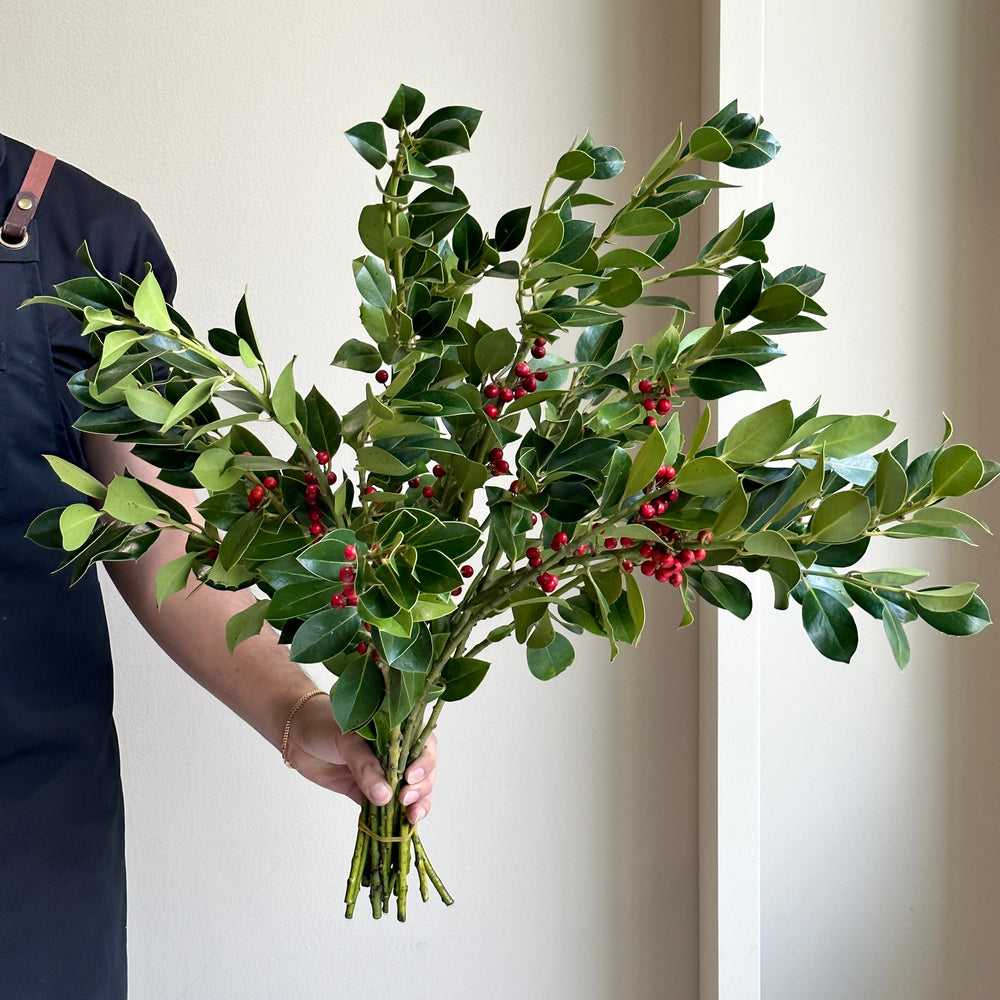 Holly Branches Green