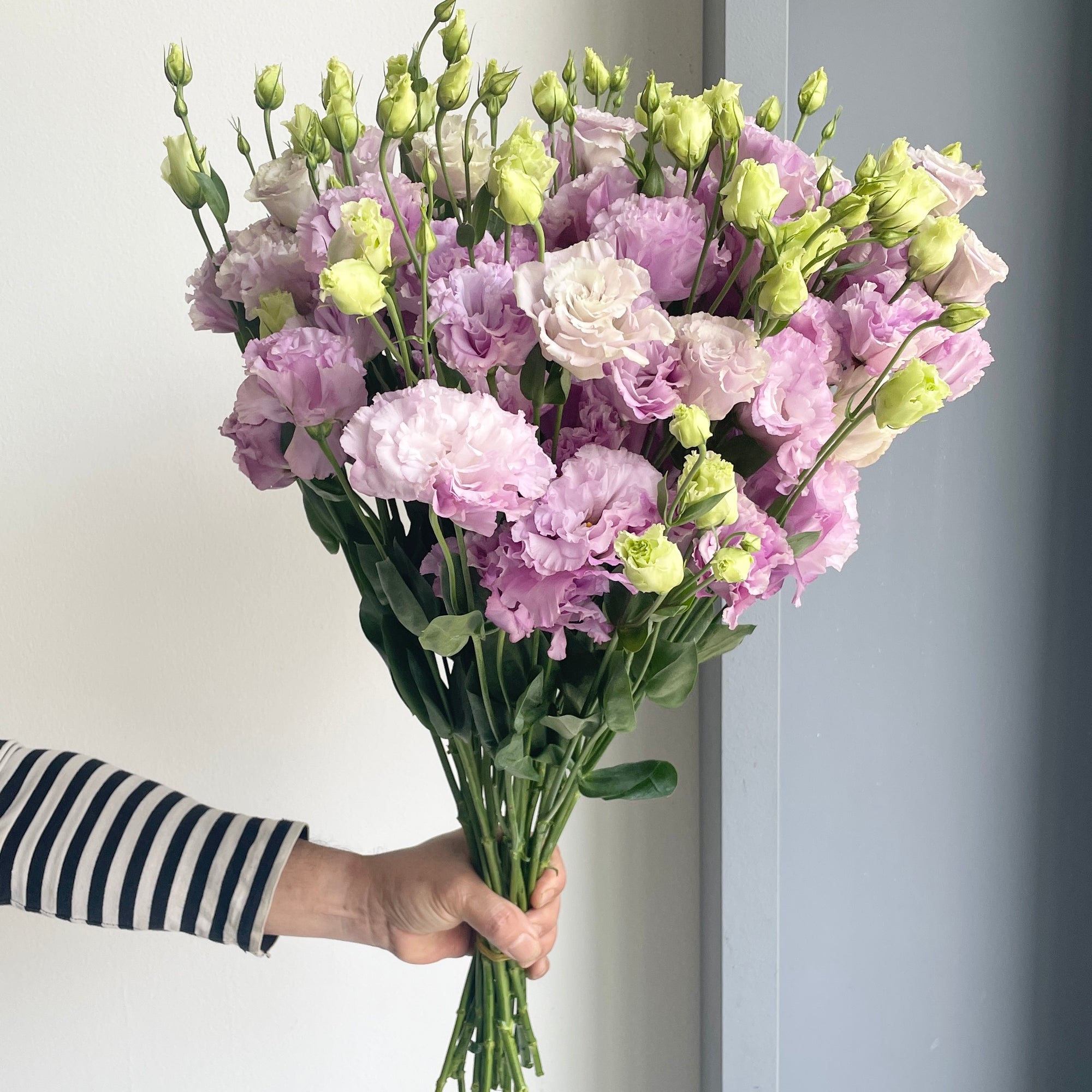 Lisianthus - Light Purple