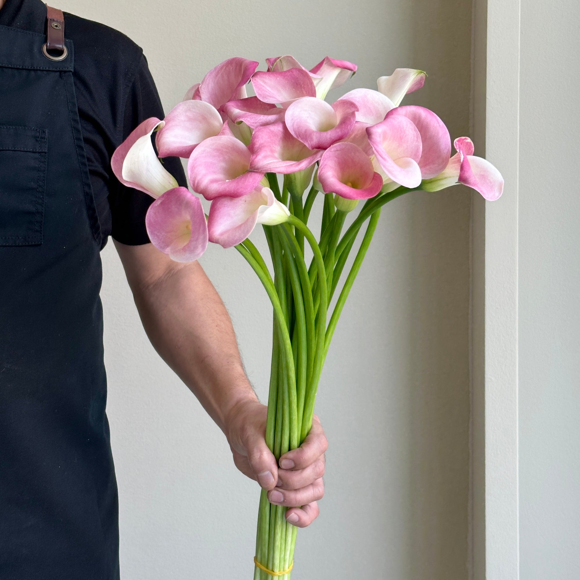 Calla Lilies - Candy Dream Pink