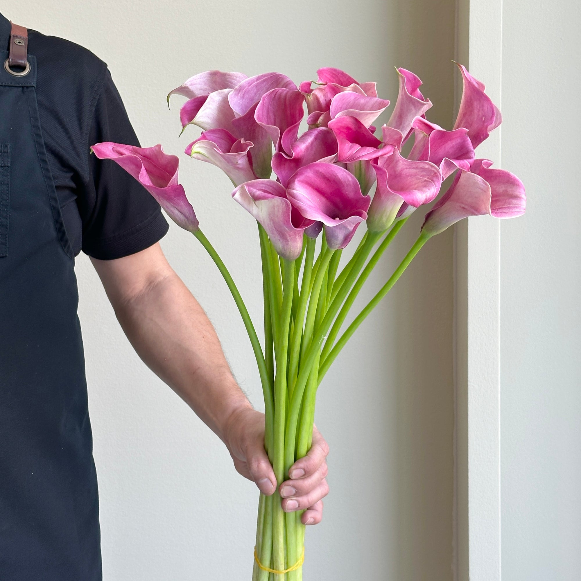 Calla Lilies - Captain Romance Pink