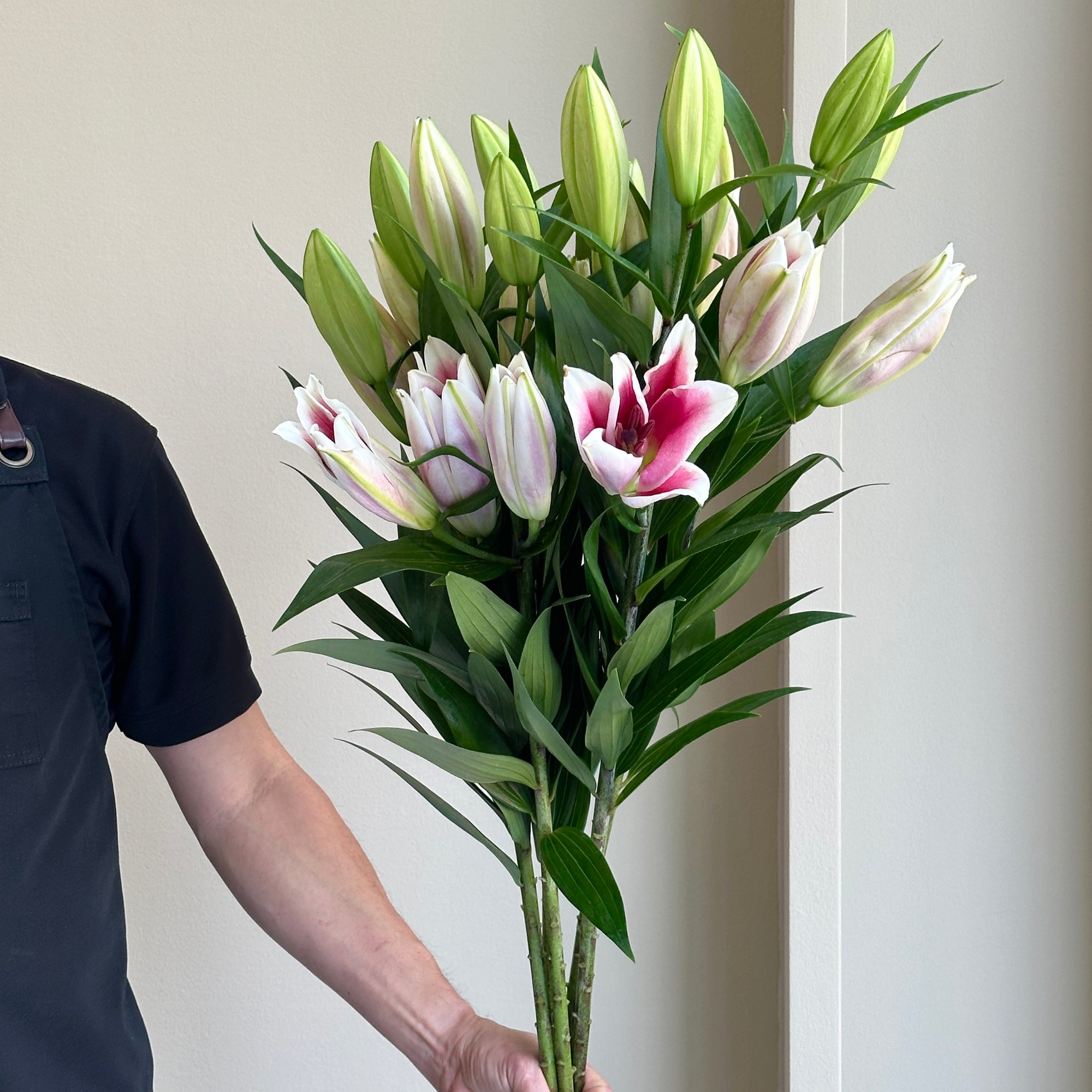 Lilies Oriental - Brancusi Pink