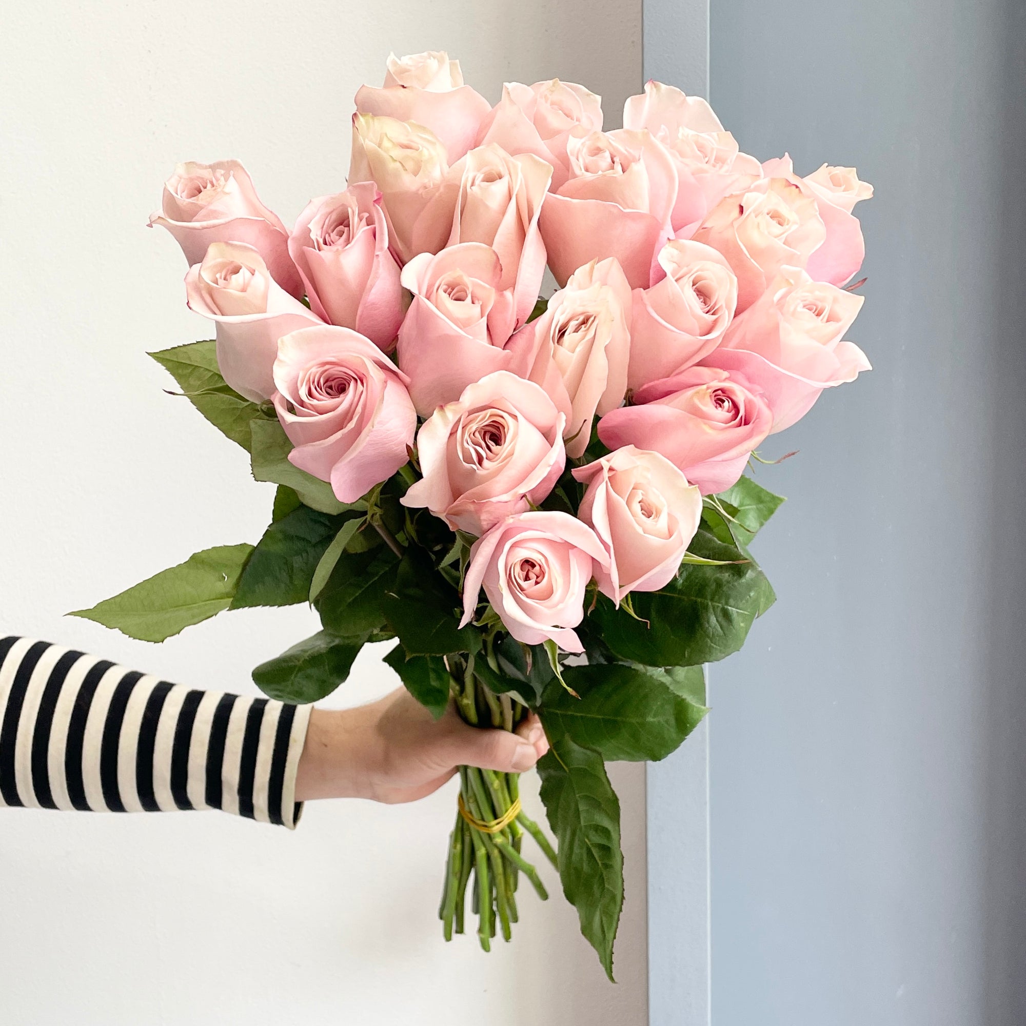 Roses - Secret Garden Soft Pink