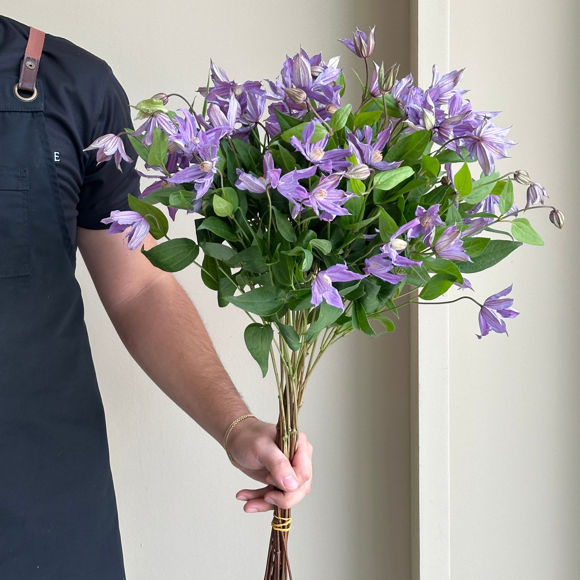 Clematis - Amazing Geneva Purple (20 stems)