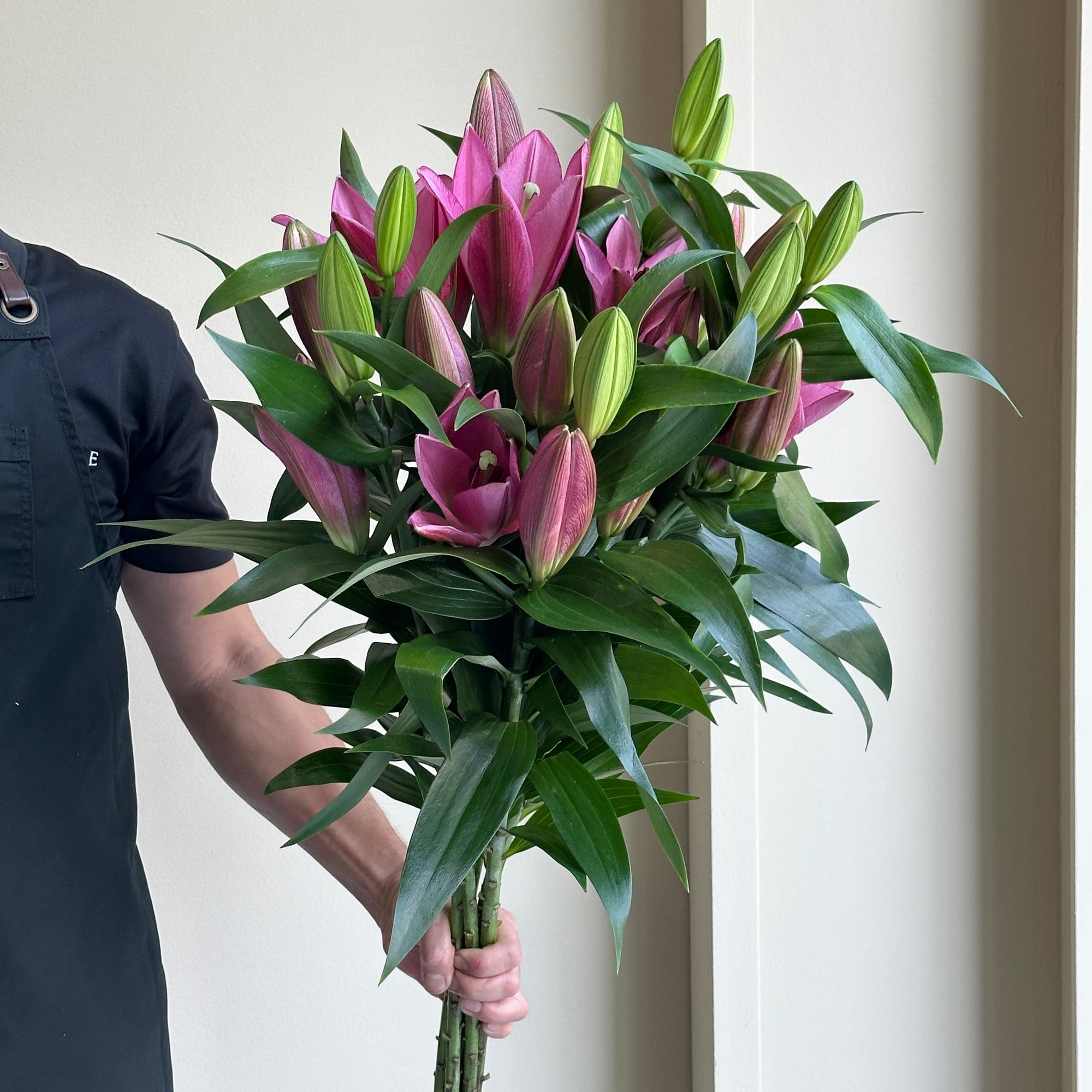Lilies Oriental - Pinterest Dark Pink