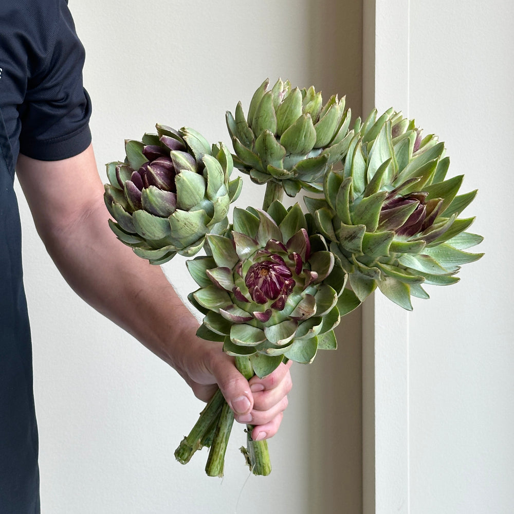 Cynara Green Globe