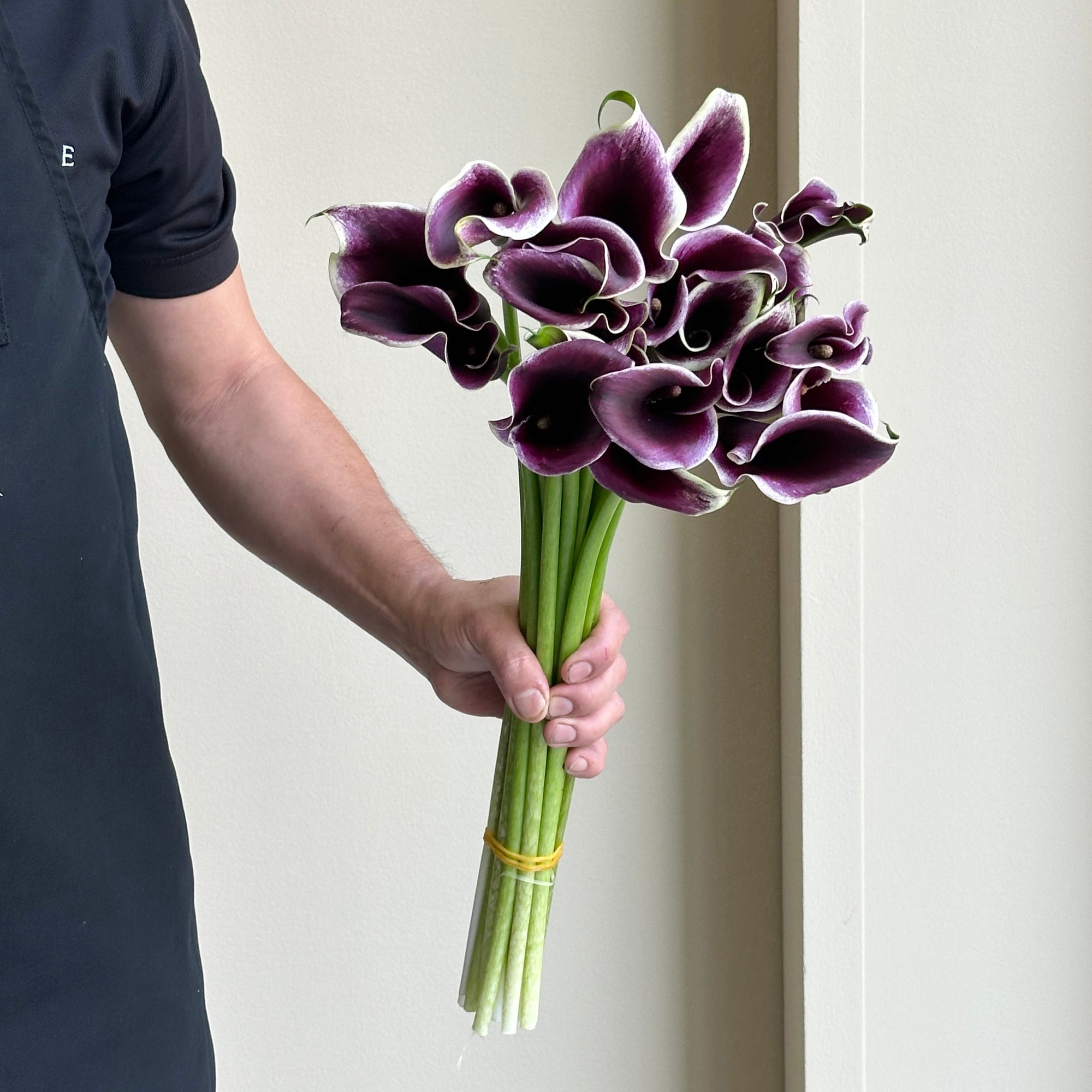 Calla Lilies - Dubai Night
